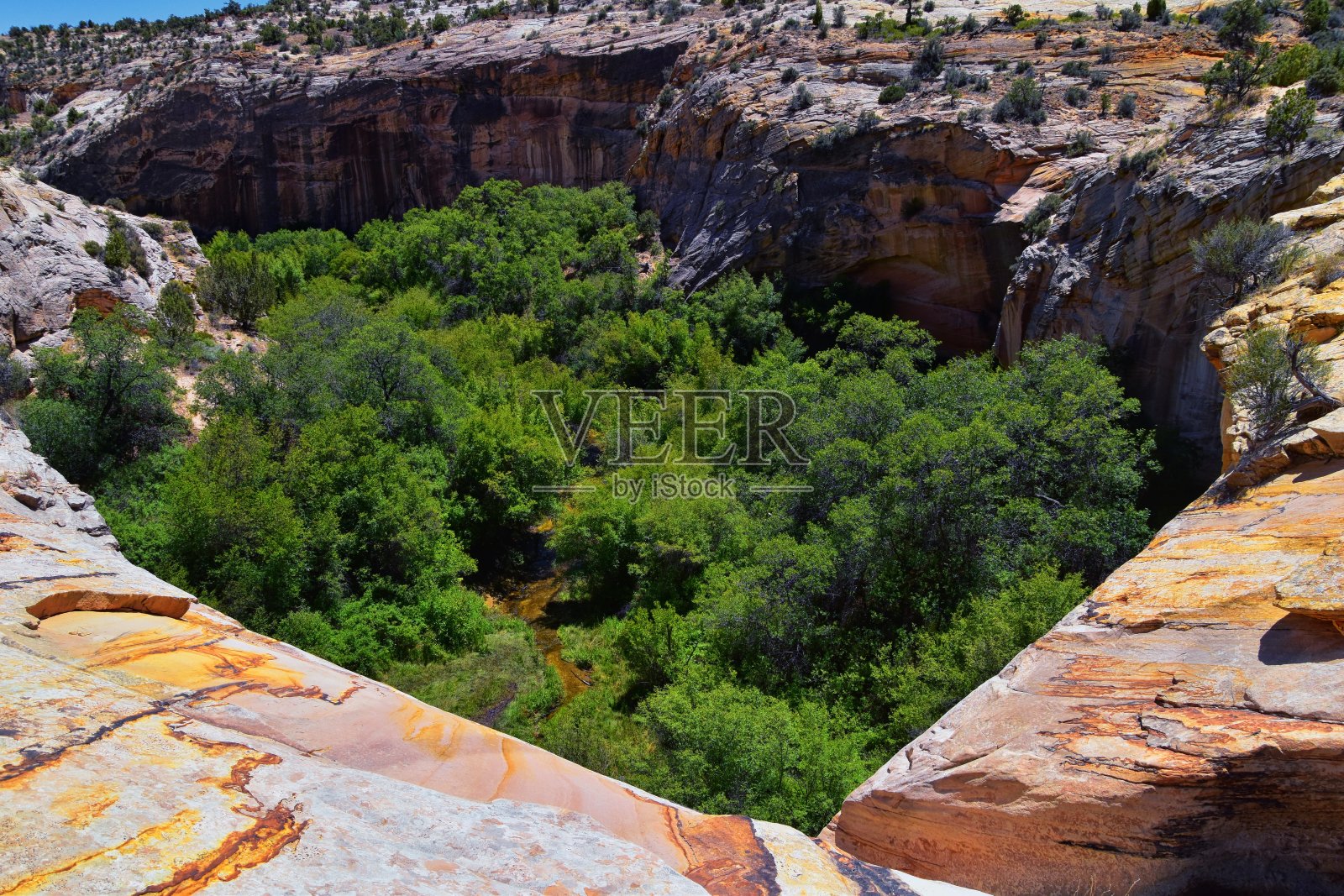 从位于犹他州南部12号高速公路博尔德和埃斯卡兰特之间的瀑布大楼梯-埃斯卡兰特国家纪念碑的徒步小道上，可以看到上Calf Creek瀑布的景色。美国。照片摄影图片