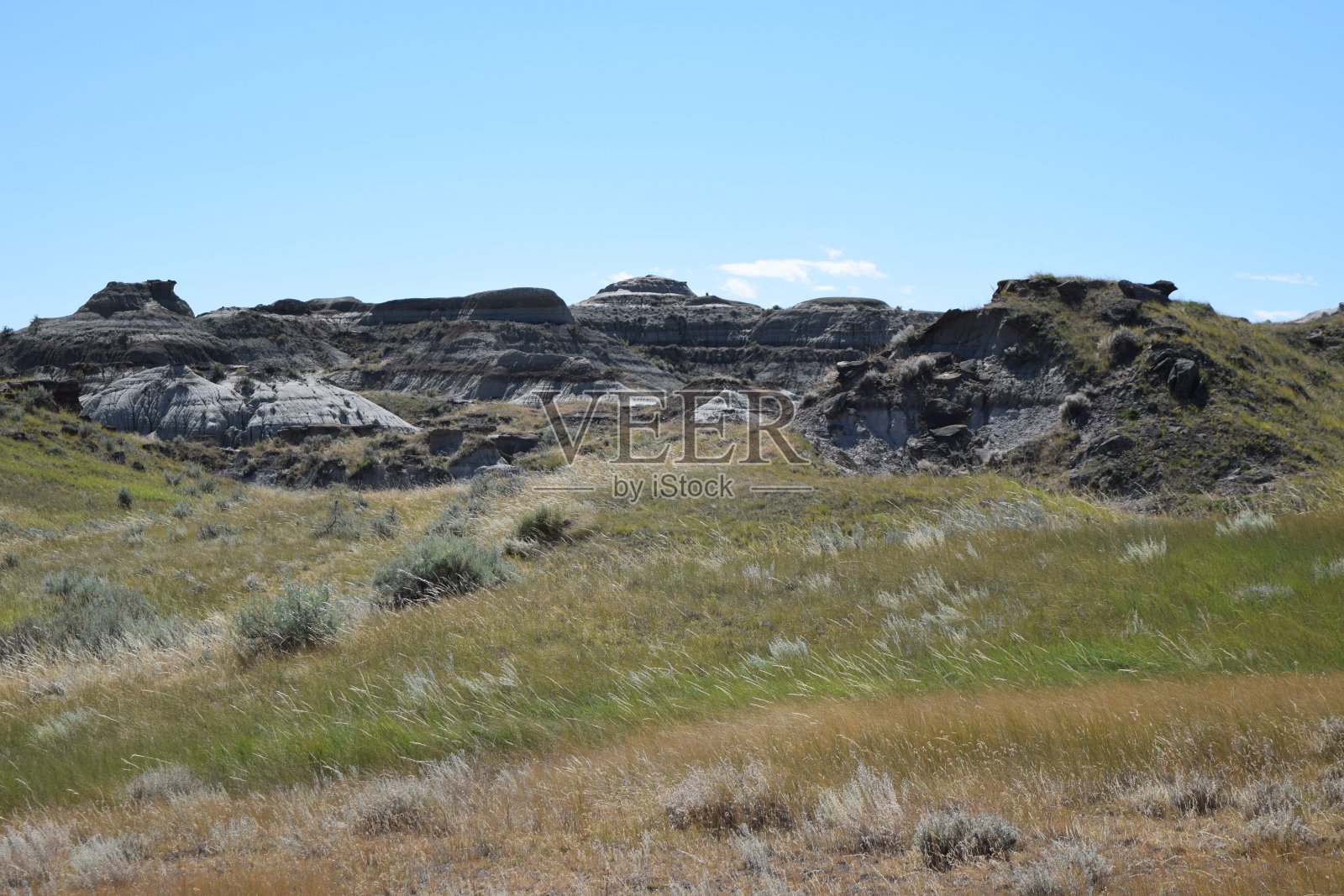 艾伯塔省的荒地(ph19)照片摄影图片