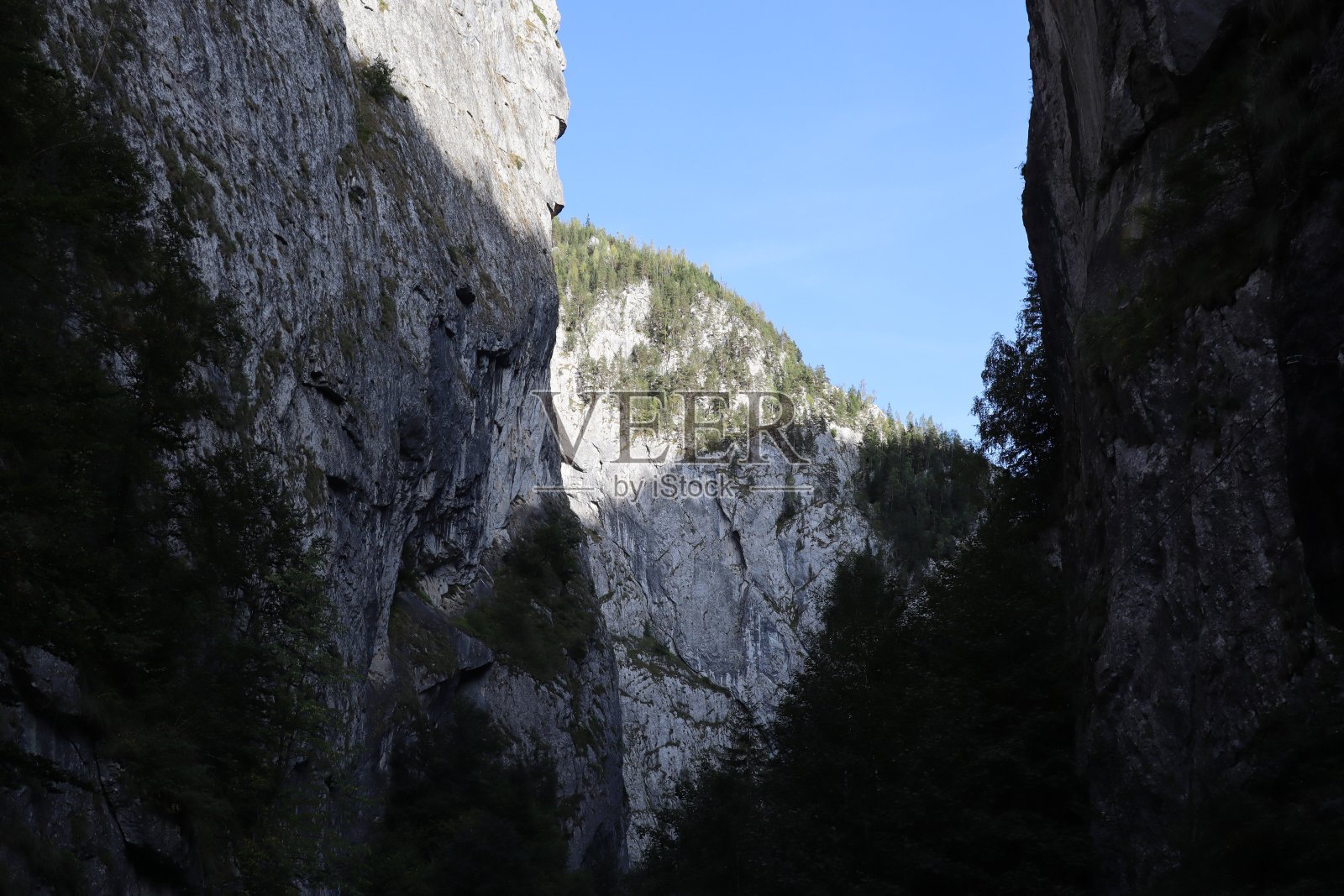 罗马尼亚喀尔巴阡山脉岩石，比喀士彻，松林照片摄影图片