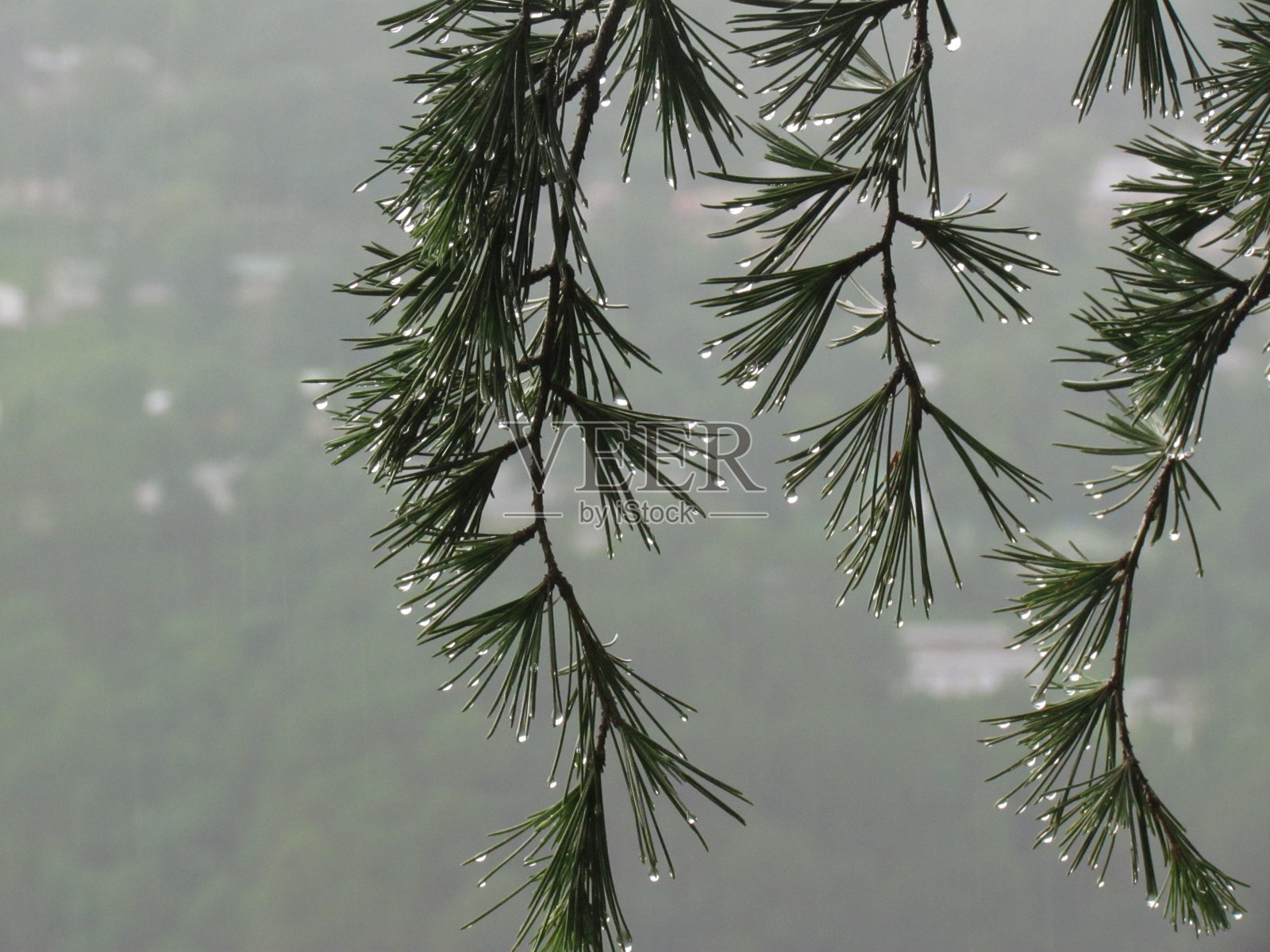 水滴照片摄影图片