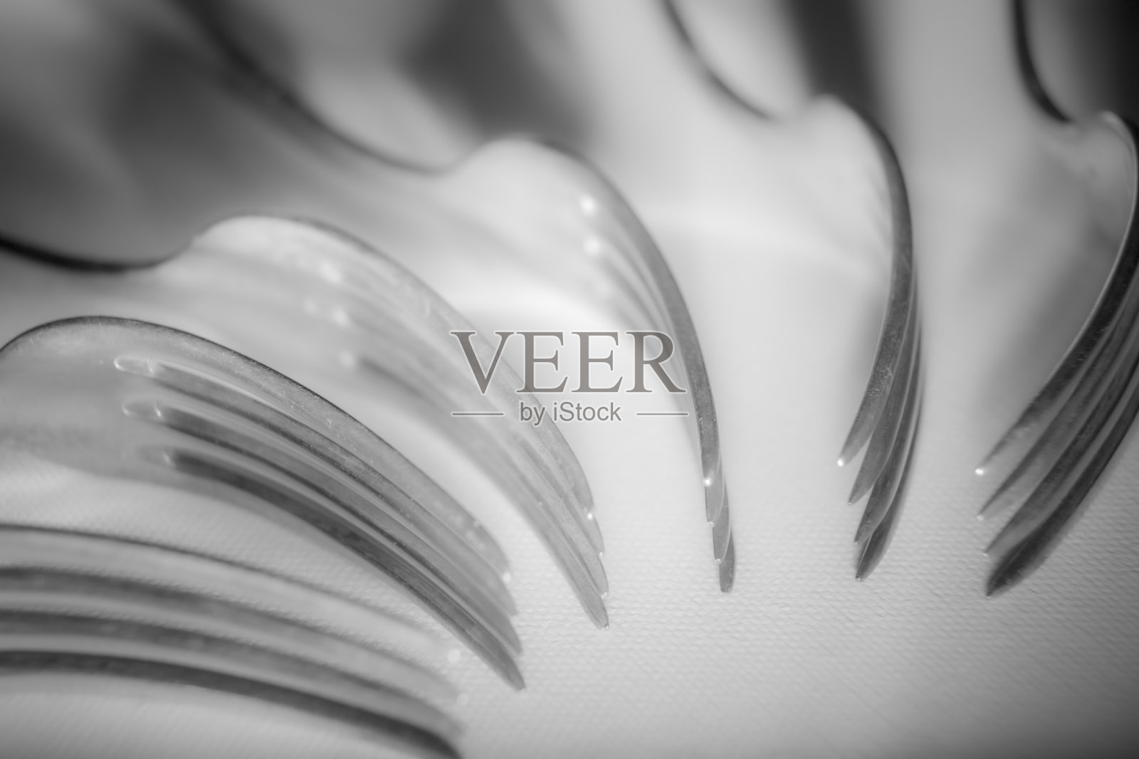 的特写silverforks照片摄影图片