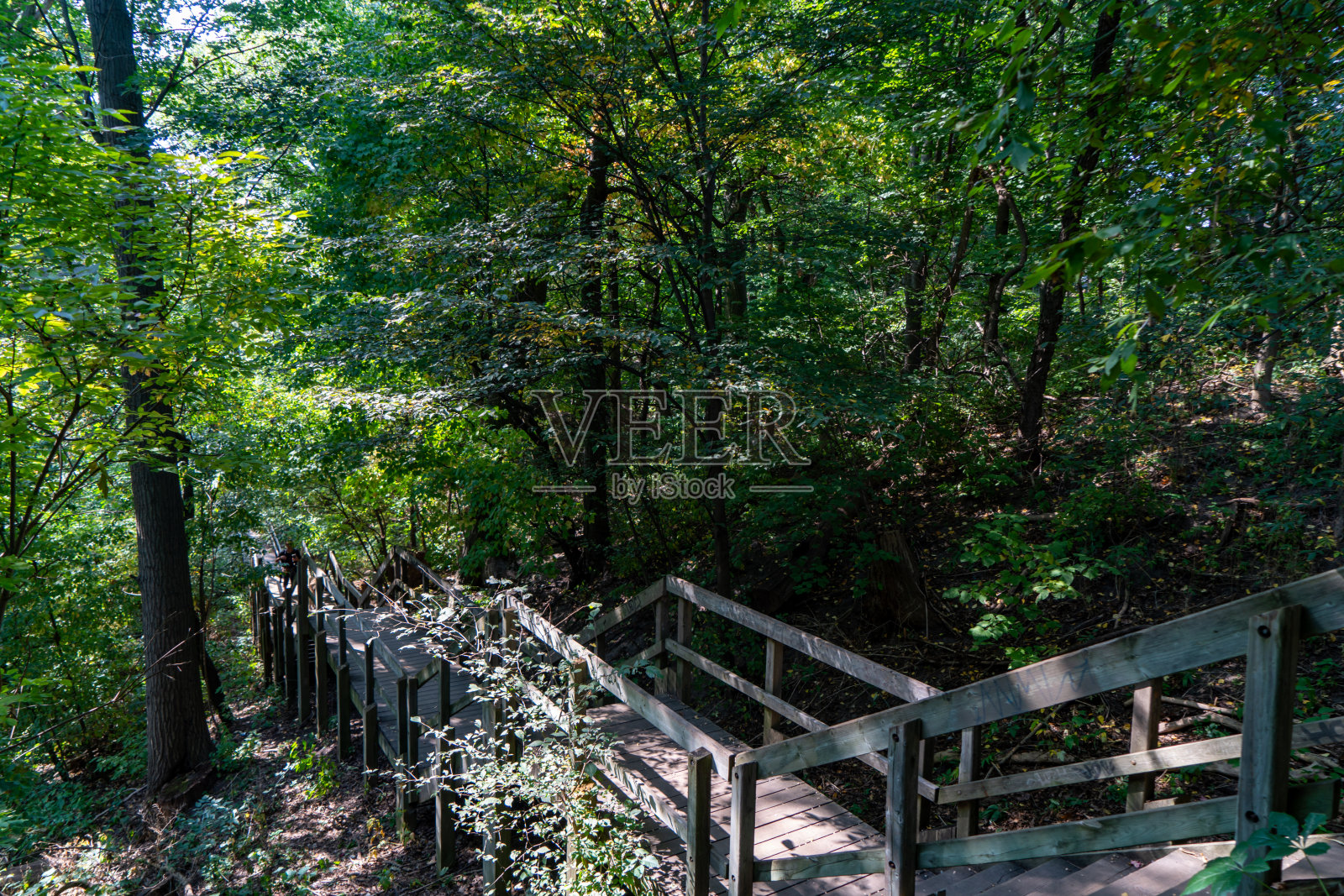 Glen Stewart峡谷公园和Tomlin's Cereek在加拿大多伦多照片摄影图片