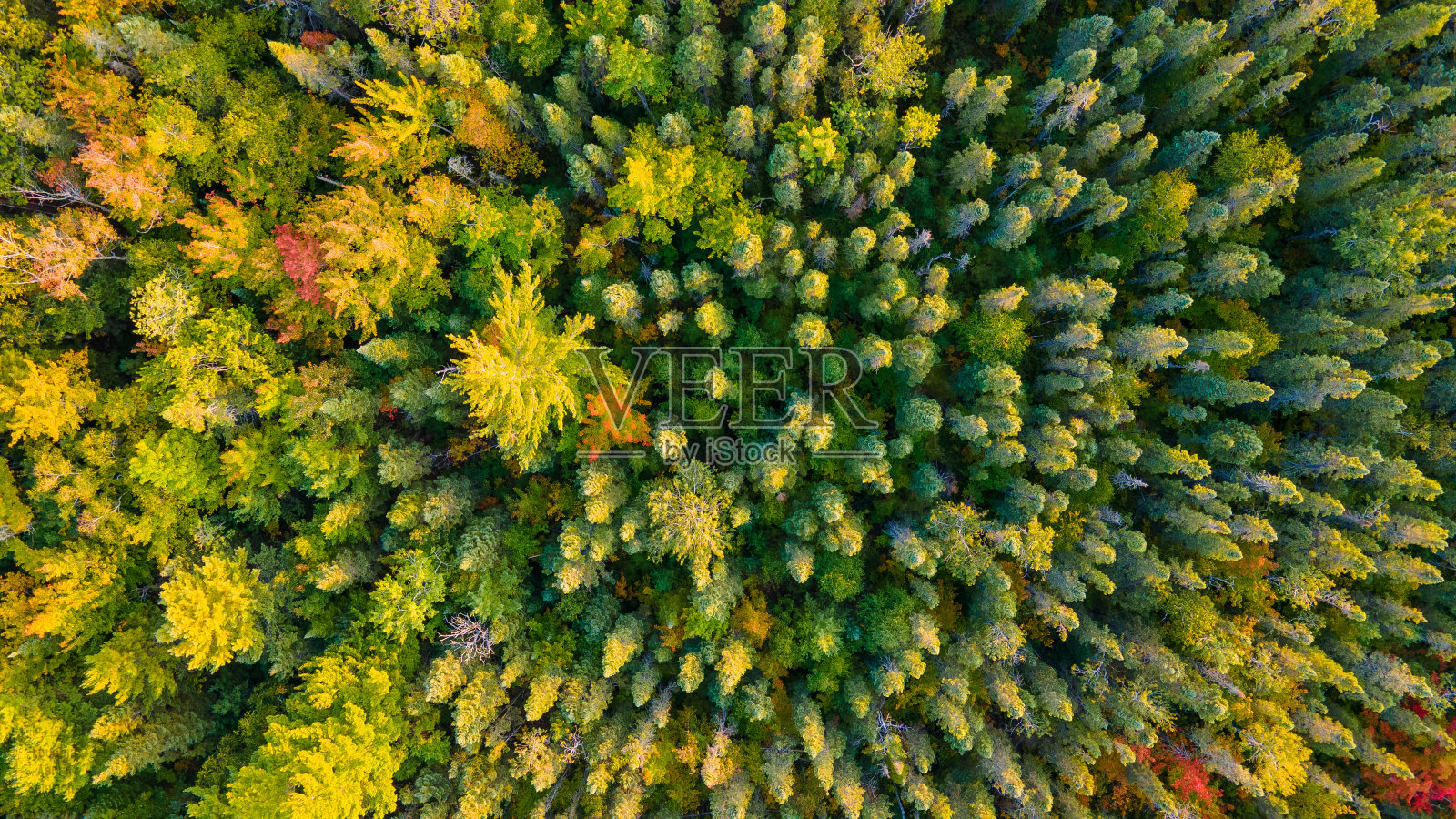秋天的颜色照片摄影图片