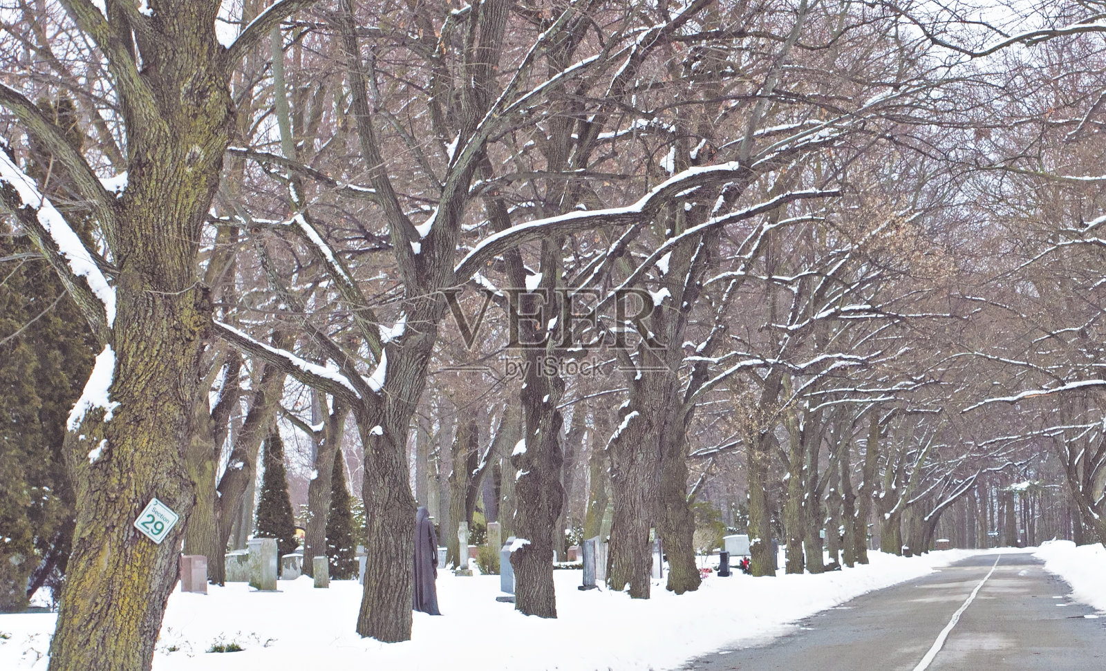 三月里的冬日之路照片摄影图片