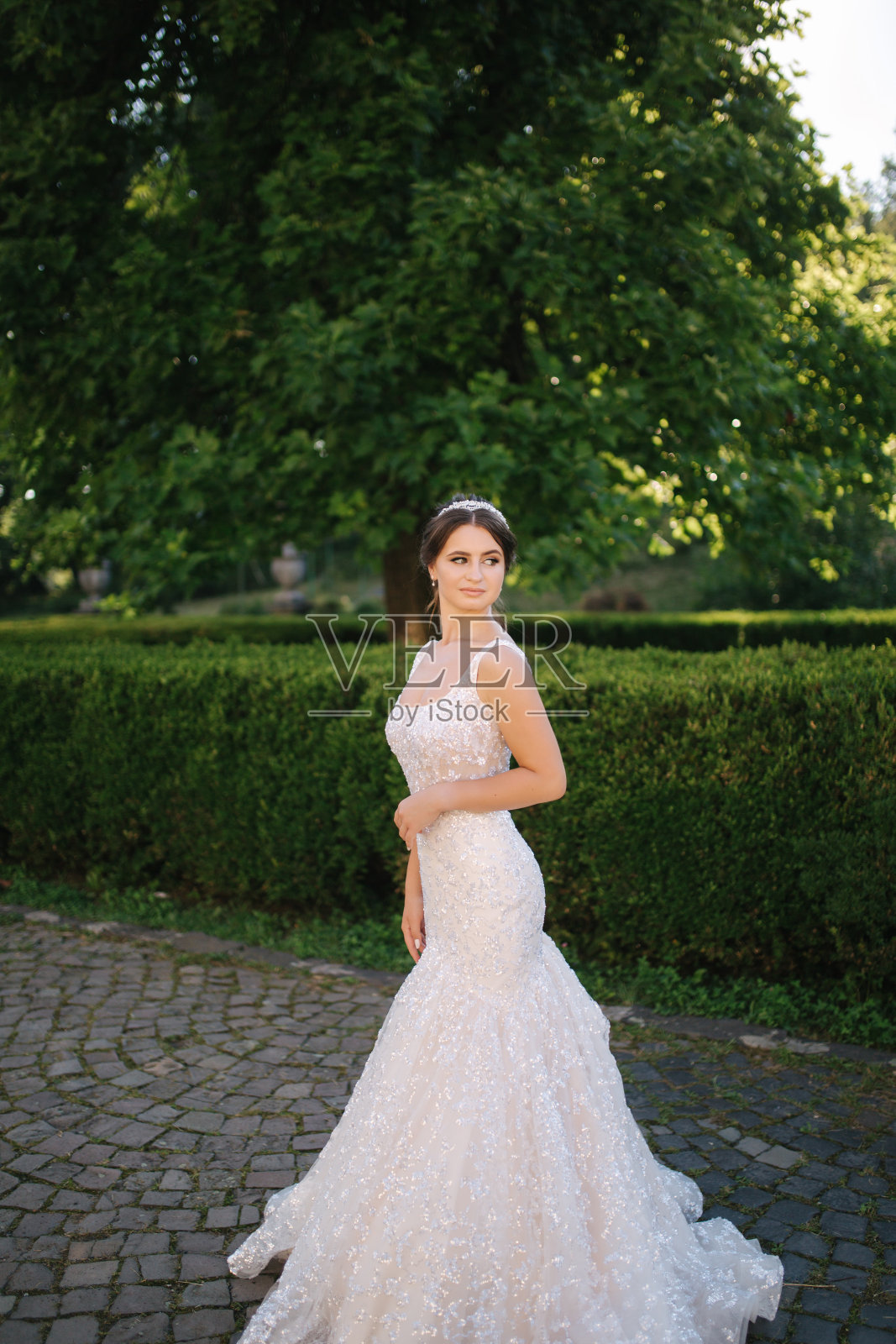 穿着婚纱的年轻女模特。新娘时尚照照片摄影图片