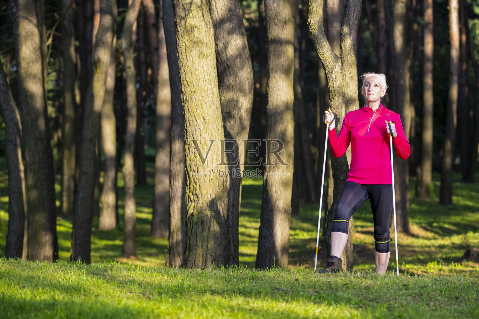 乐观的成年高加索妇女北欧徒步在夏季森林户外。向上看。水平图像组成照片摄影图片