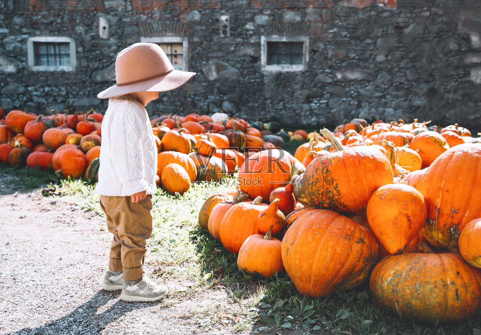 孩子在南瓜地里摘南瓜。可爱的小孩打扮成农夫在农贸市场打壁球。照片摄影图片