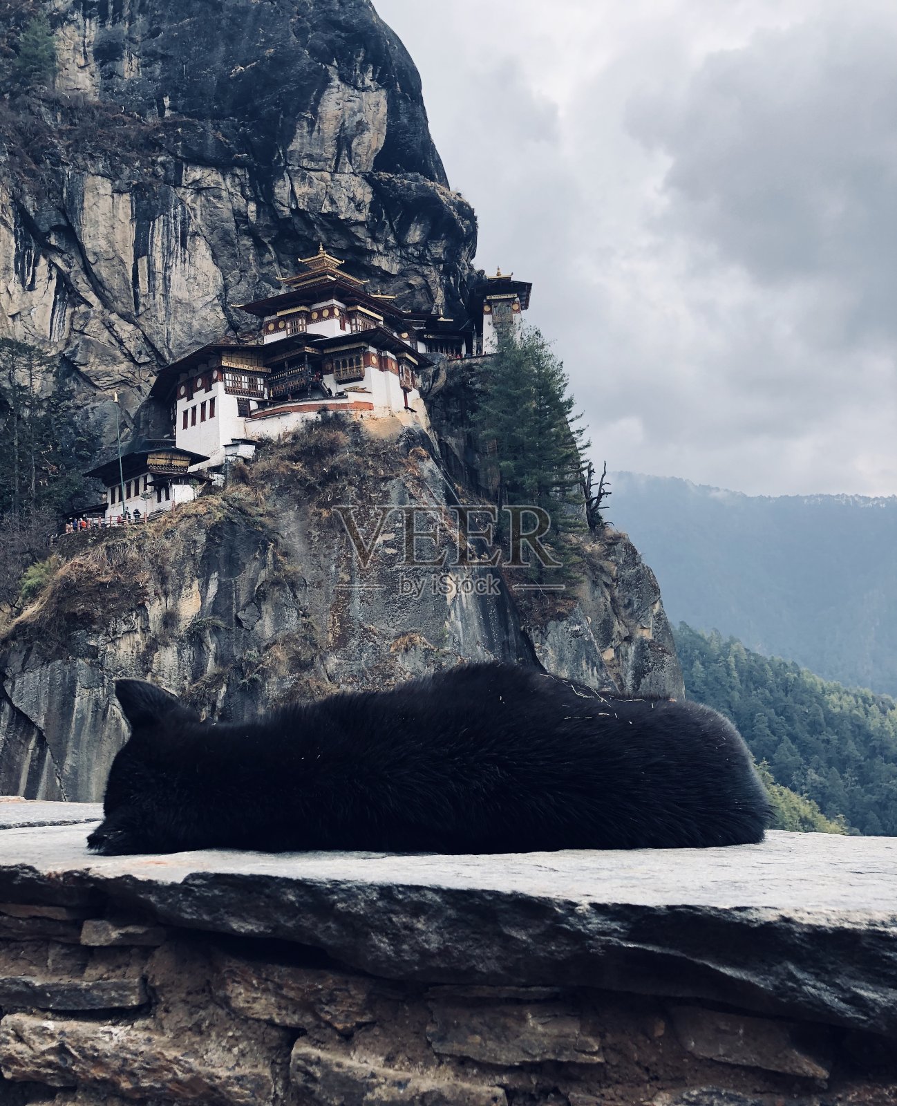 睡觉欣赏风景照片摄影图片