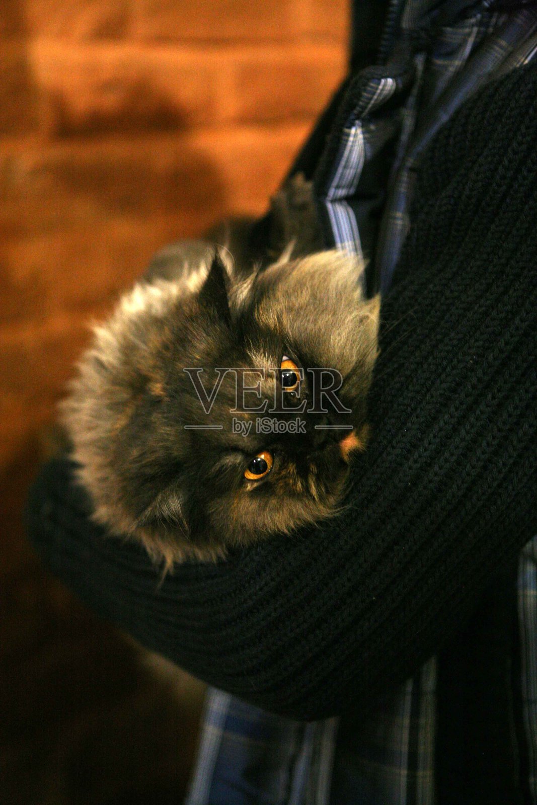 动物医院照片摄影图片