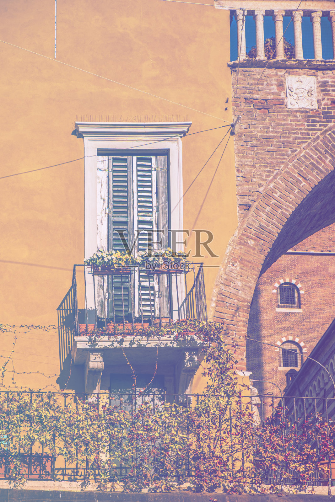 美观、功能和性能照片摄影图片