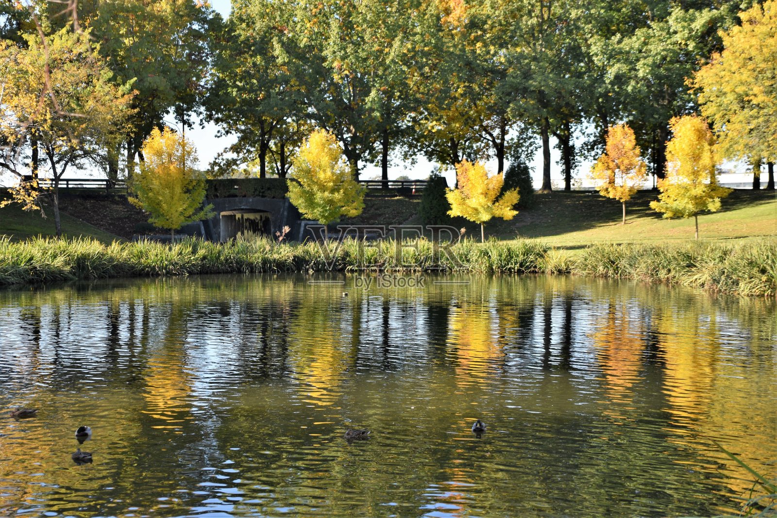 秋天的颜色照片摄影图片