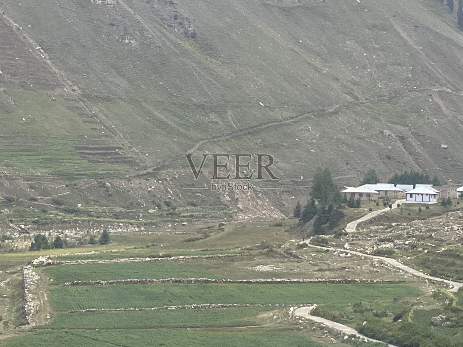 绿色的农田和村舍照片摄影图片