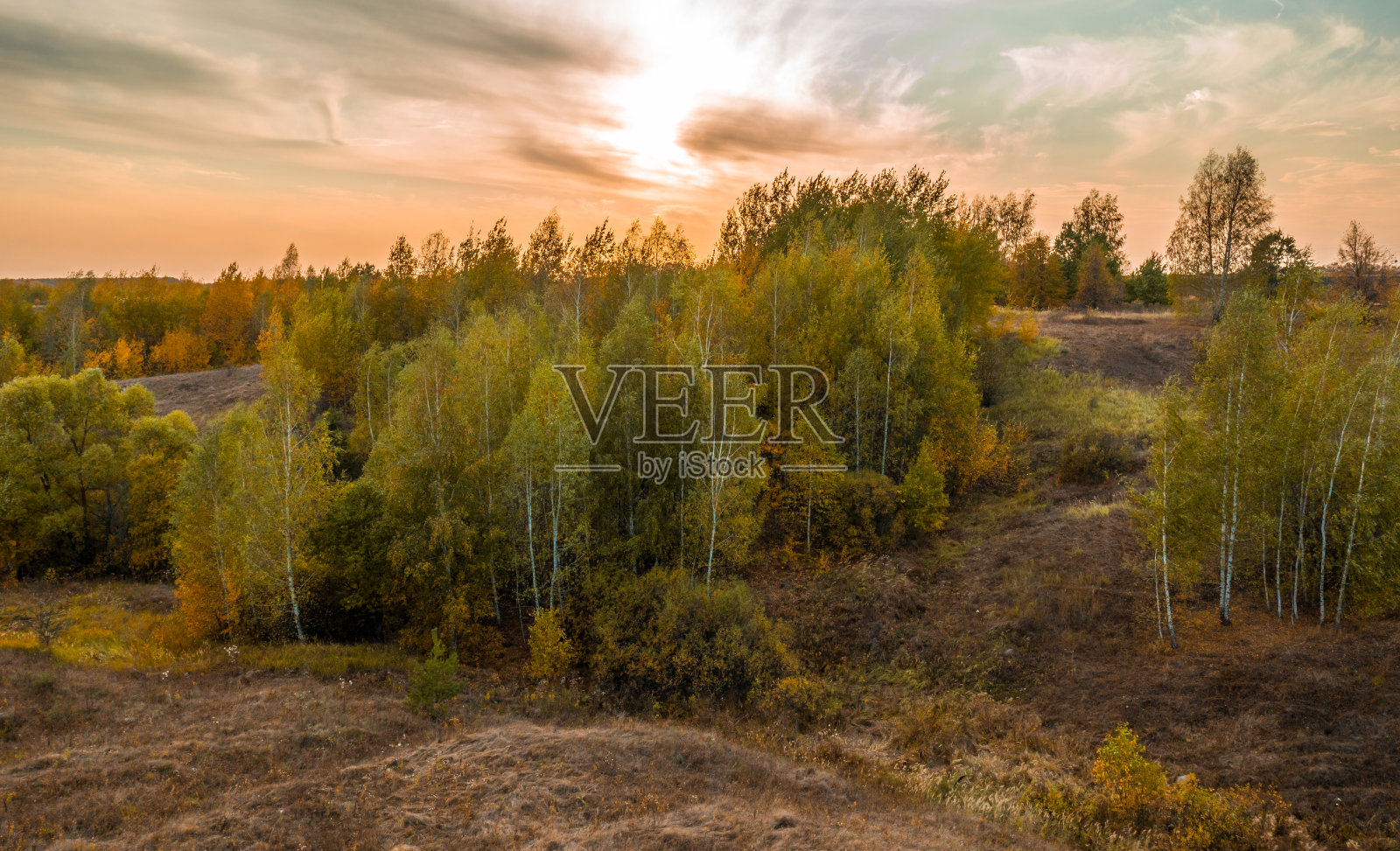 山坡上生长着美丽的秋天的树木照片摄影图片