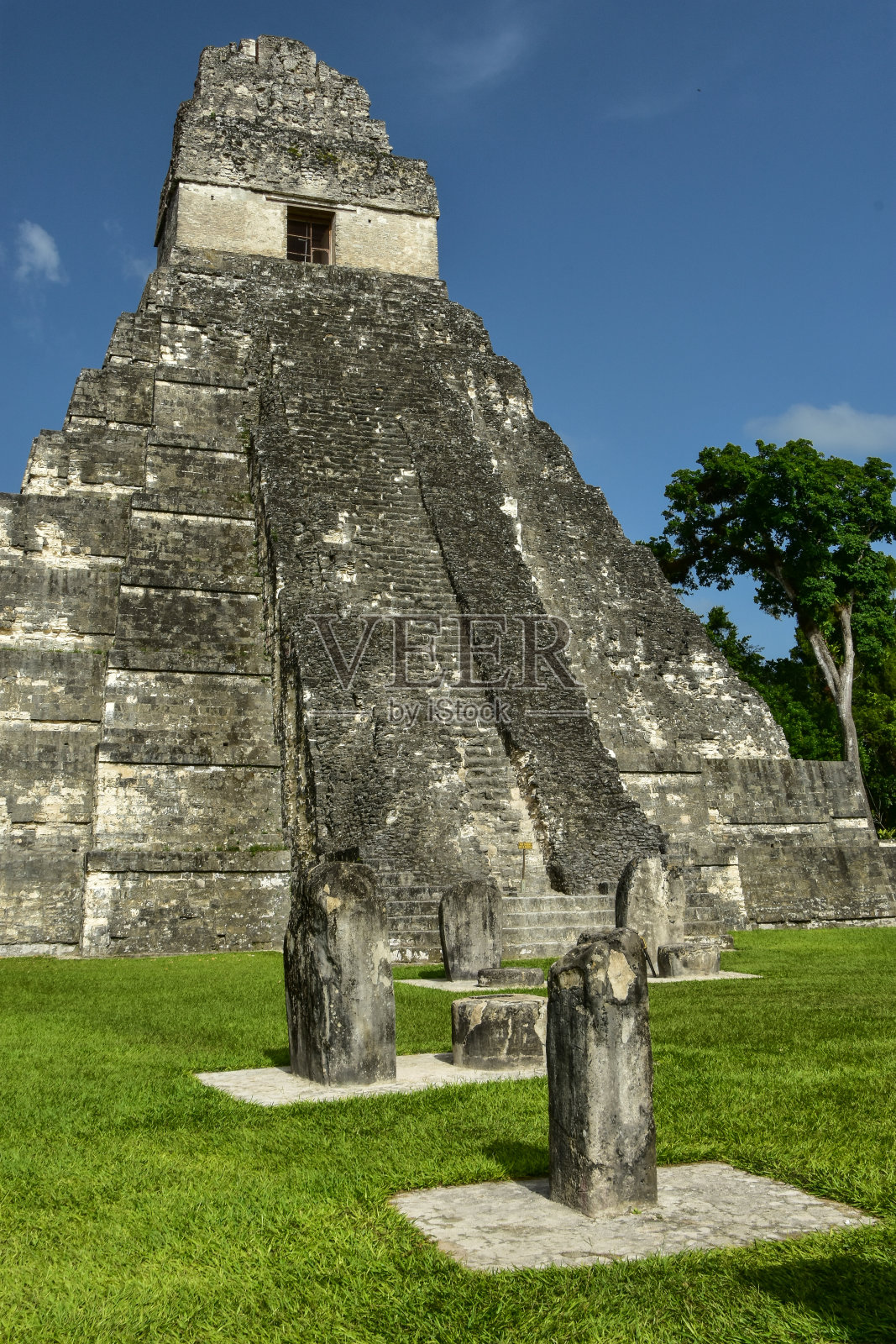 蒂卡尔国家公园的玛雅神庙照片摄影图片