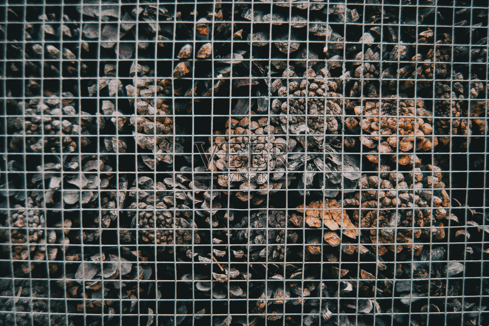 彩灯花环照片摄影图片