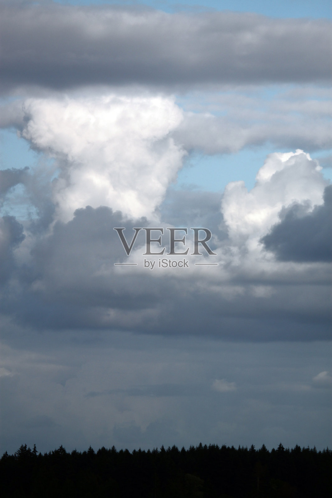 岸边的松树映衬着多云的天空和水面的倒影照片摄影图片