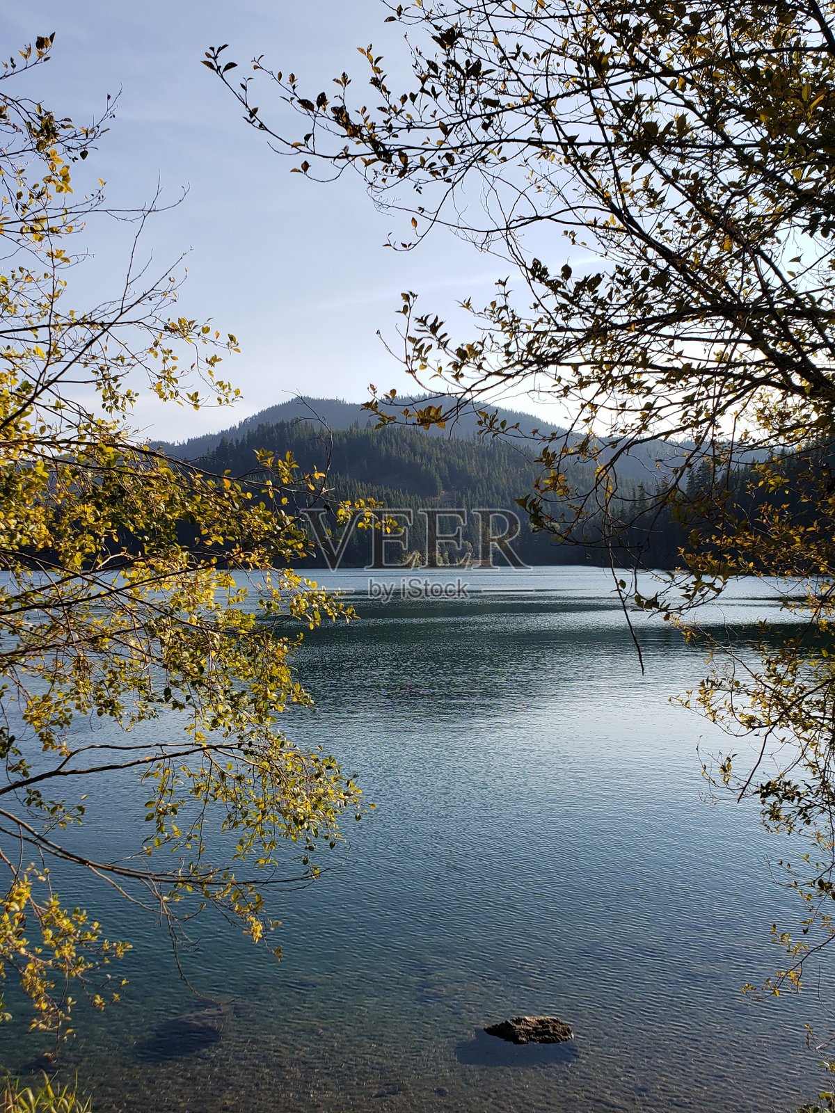 伊斯顿湖,华盛顿照片摄影图片