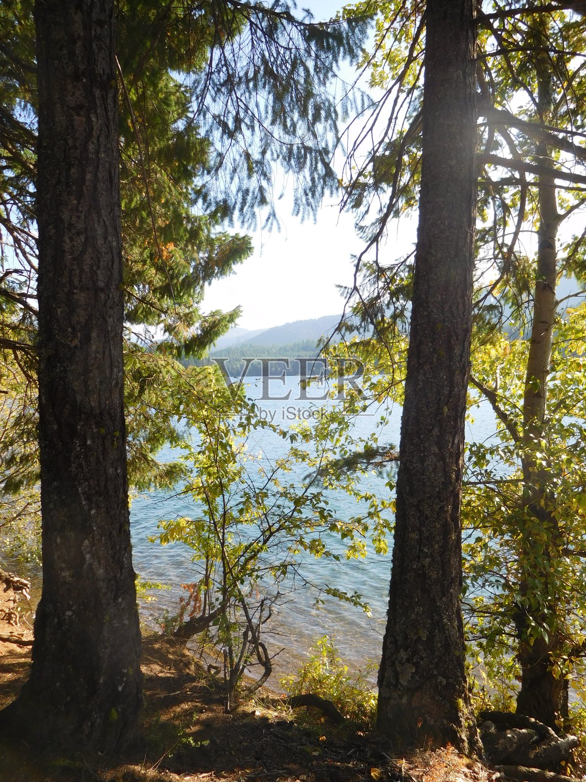 伊斯顿湖,华盛顿照片摄影图片