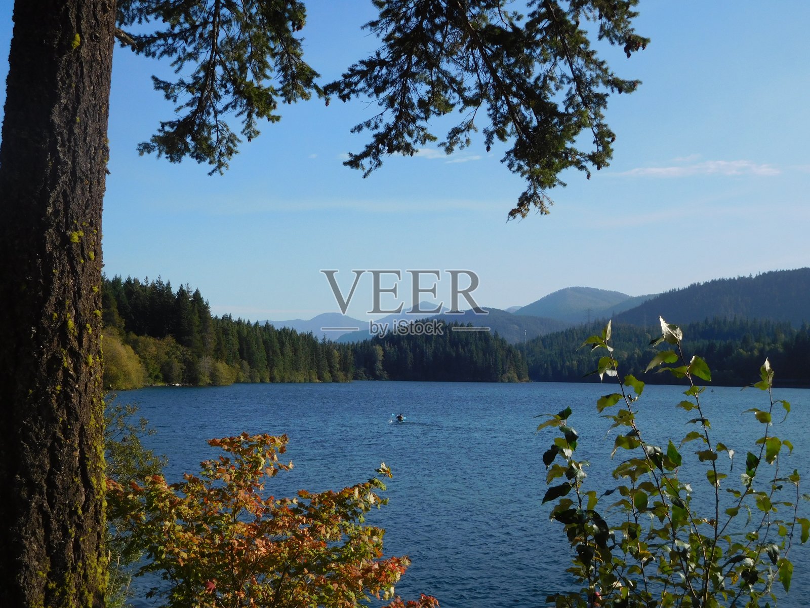 伊斯顿湖,华盛顿照片摄影图片