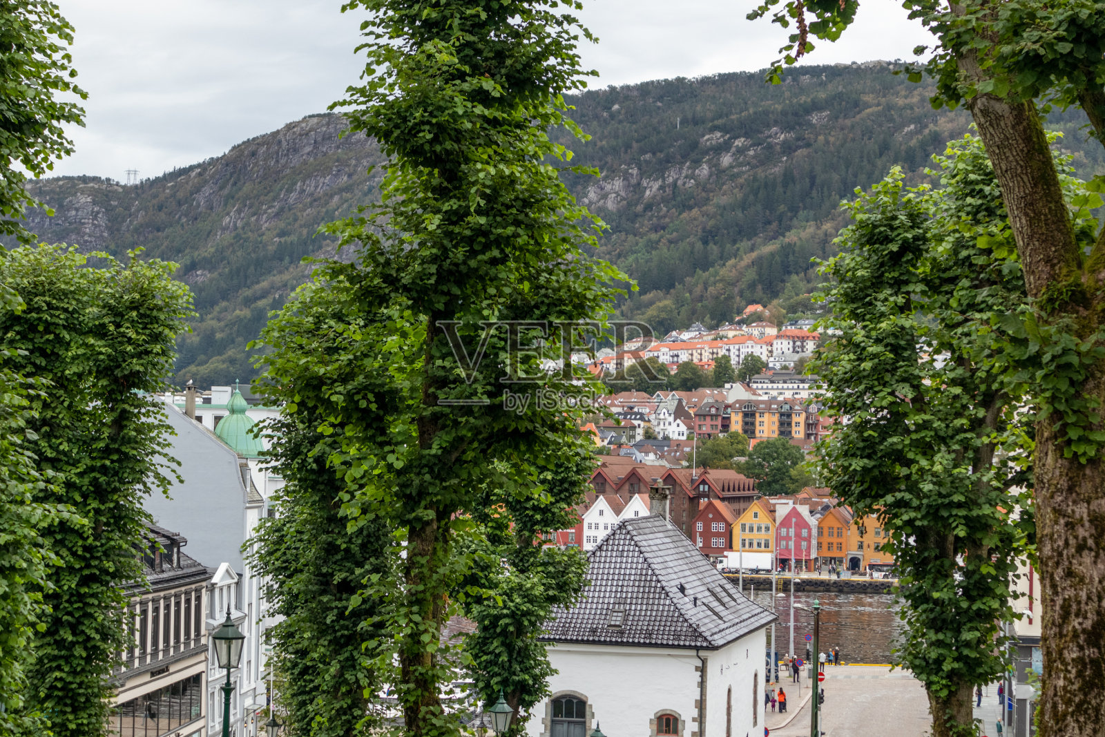 挪威卑尔根传统斯堪的纳维亚街道上的绿树照片摄影图片