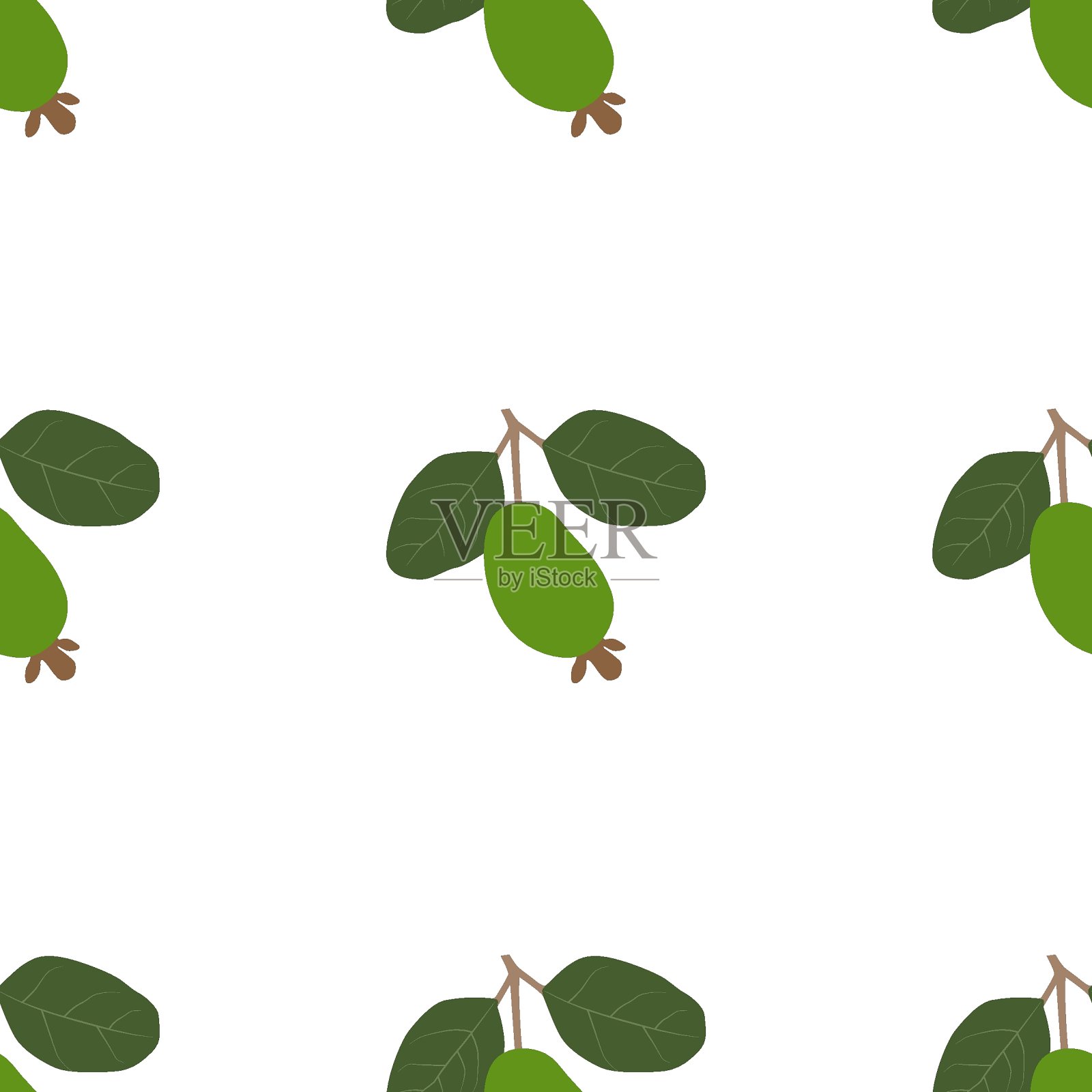 费约果插画图片素材