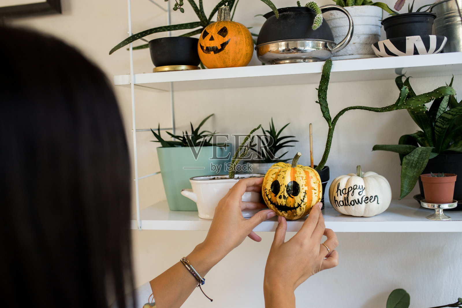 准备万圣节照片摄影图片