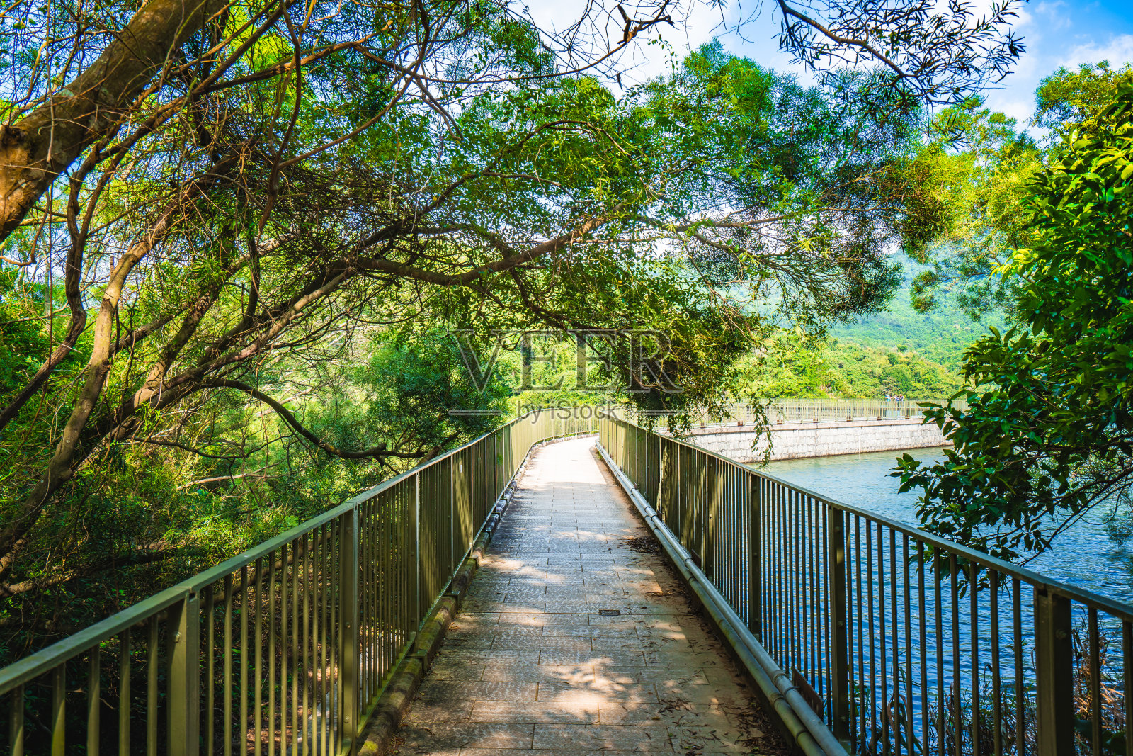 河背水塘景色照片摄影图片