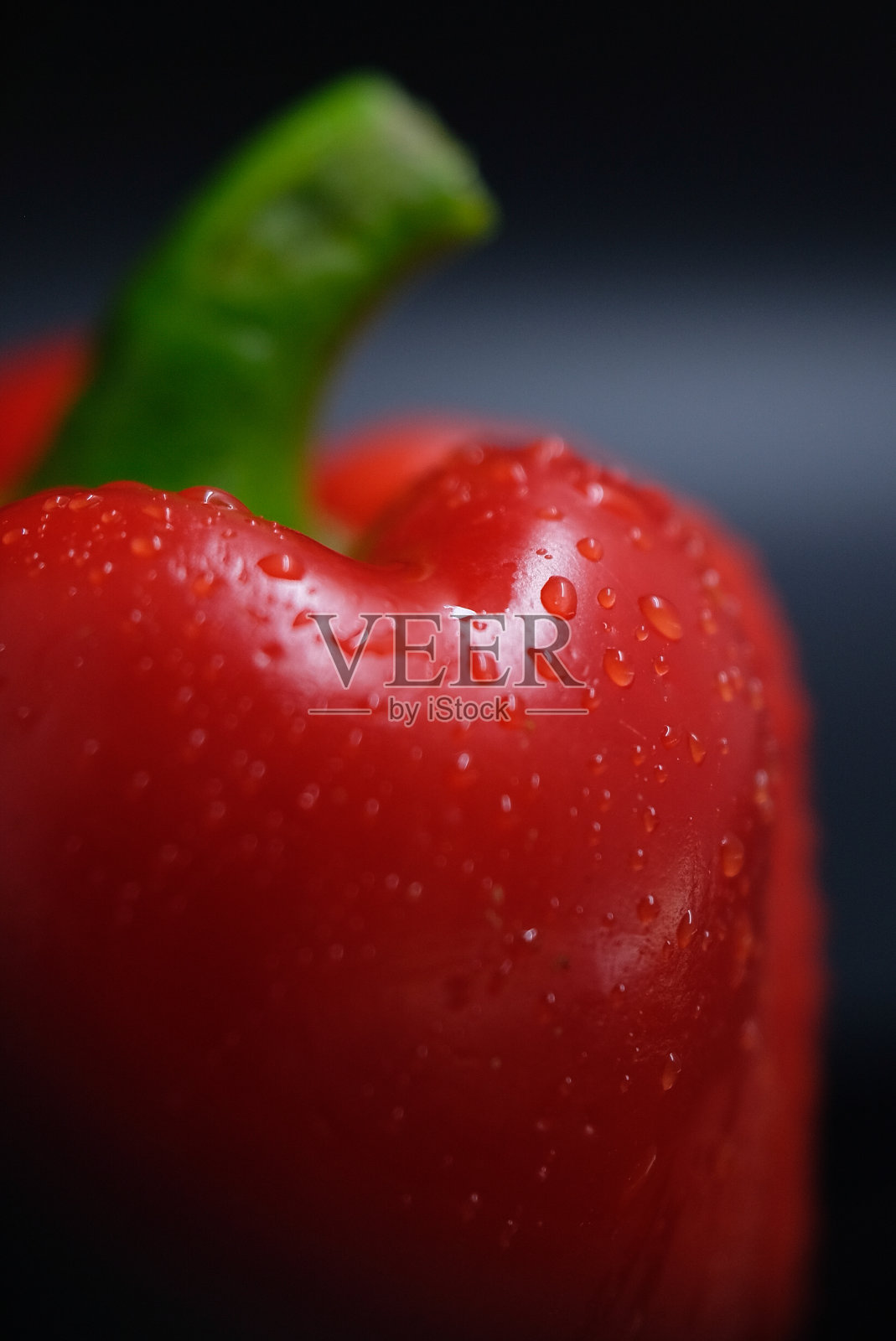 红辣椒孤立在黑色背景上。照片摄影图片