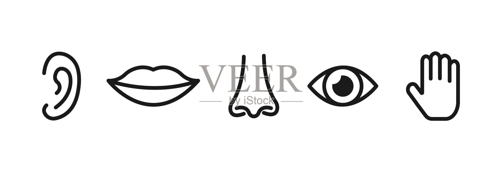 人类的五种感官:视觉、嗅觉、听觉、触觉、味觉。简单的线条图标。插画图片素材