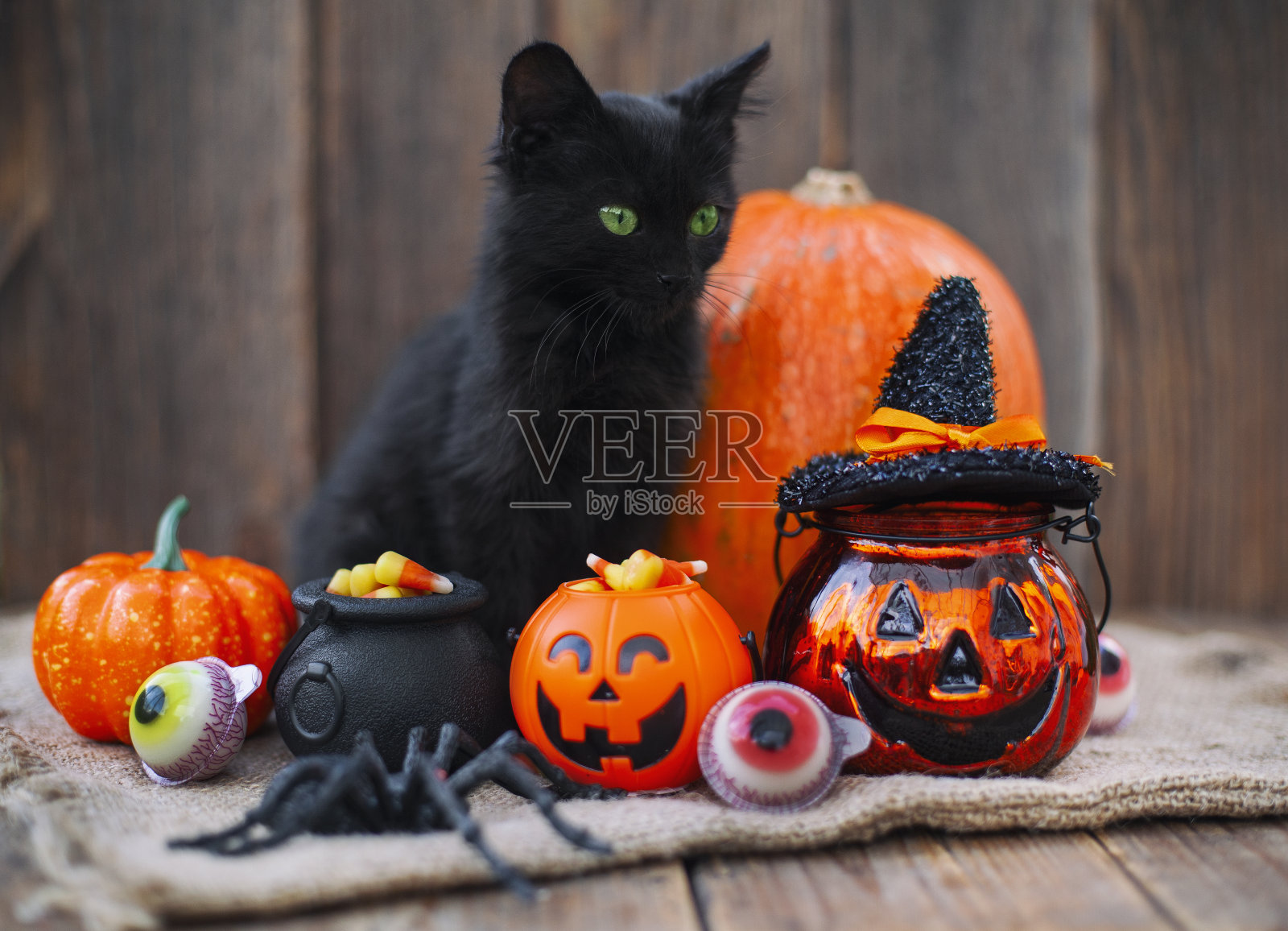 万圣节南瓜和黑猫在木制的背景照片摄影图片