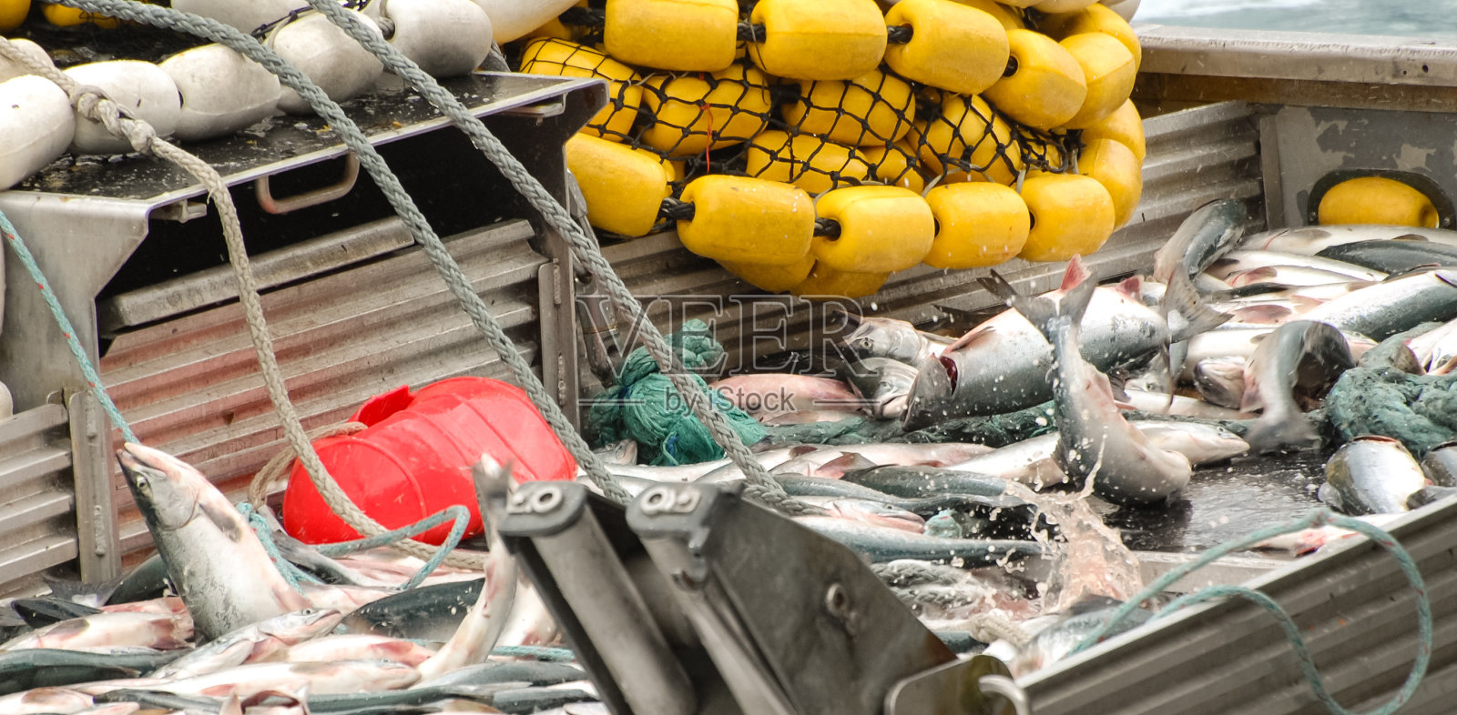 阿拉斯加的商业捕鱼照片摄影图片