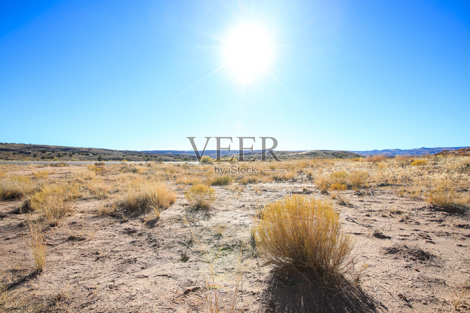 伞菌厄运小道照片摄影图片