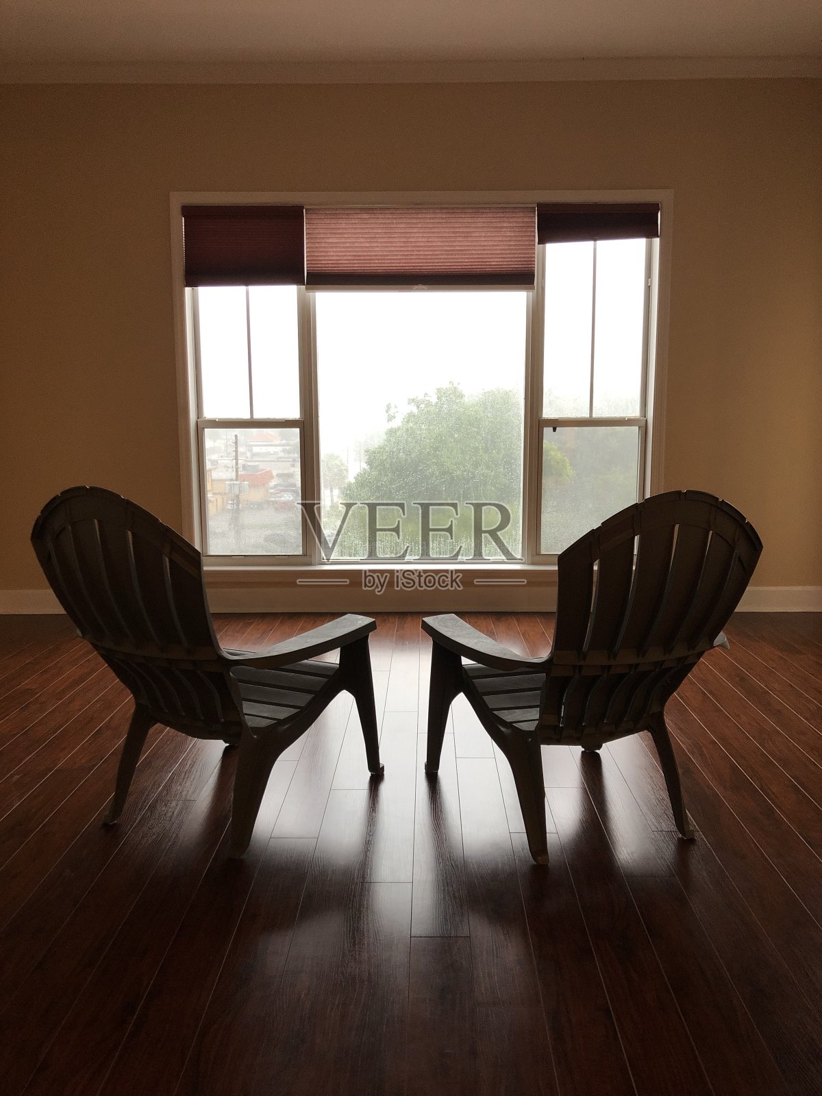 感人的一天照片摄影图片