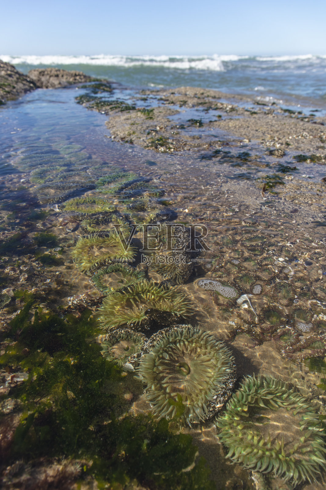 抱抱点自然区域在俄勒冈州照片摄影图片