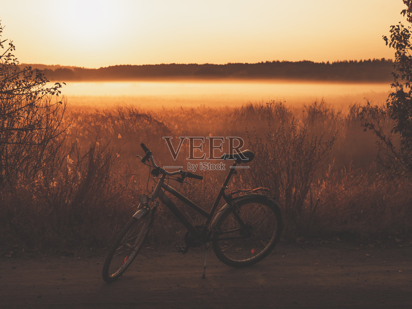 日出在雾蒙蒙的森林边缘和自行车照片摄影图片