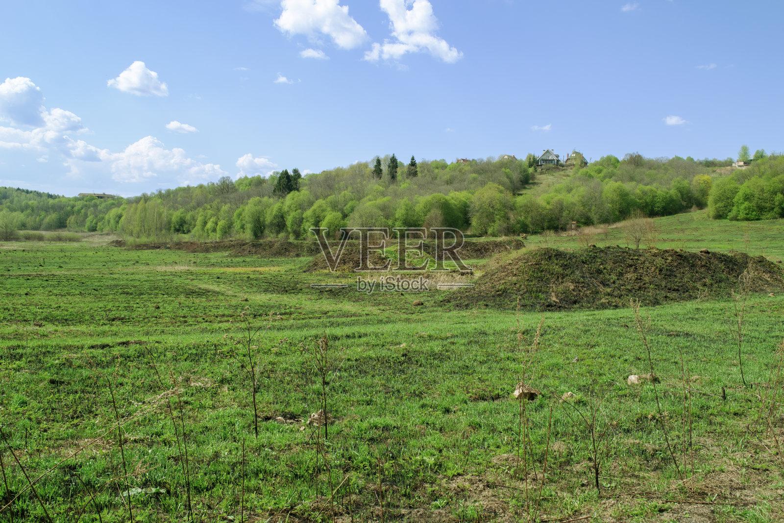 有山丘和森林的田野。照片摄影图片