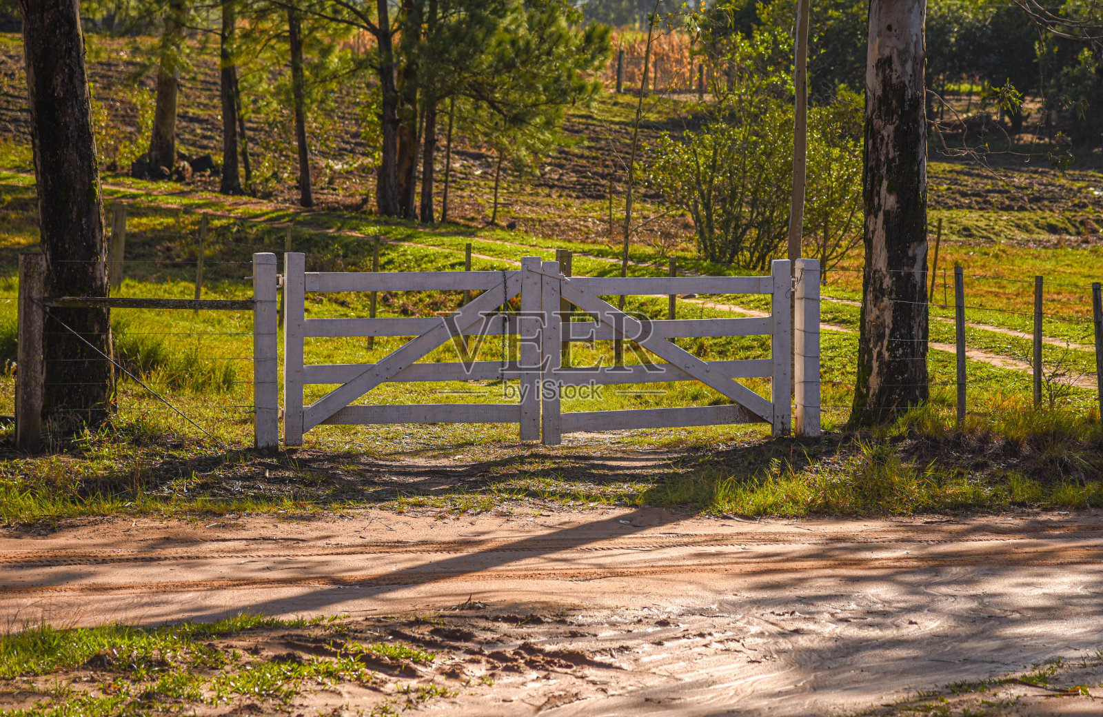 木制的门。巴西南部农村地产的入口照片摄影图片