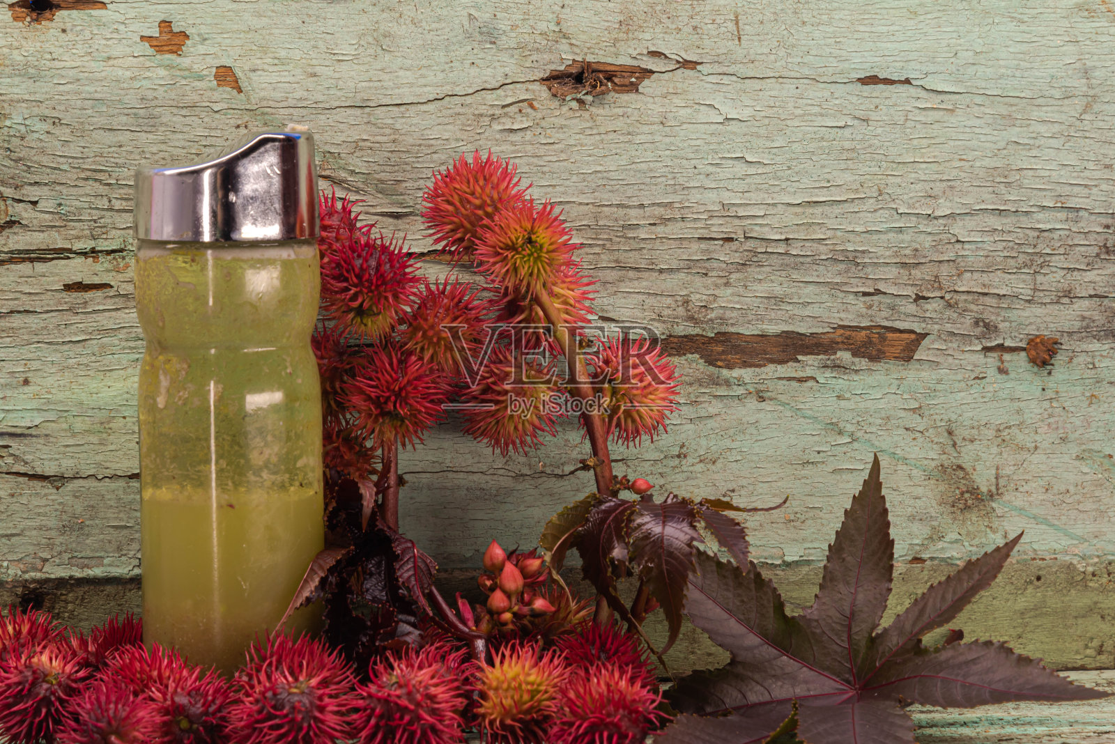 红蓖麻油照片摄影图片