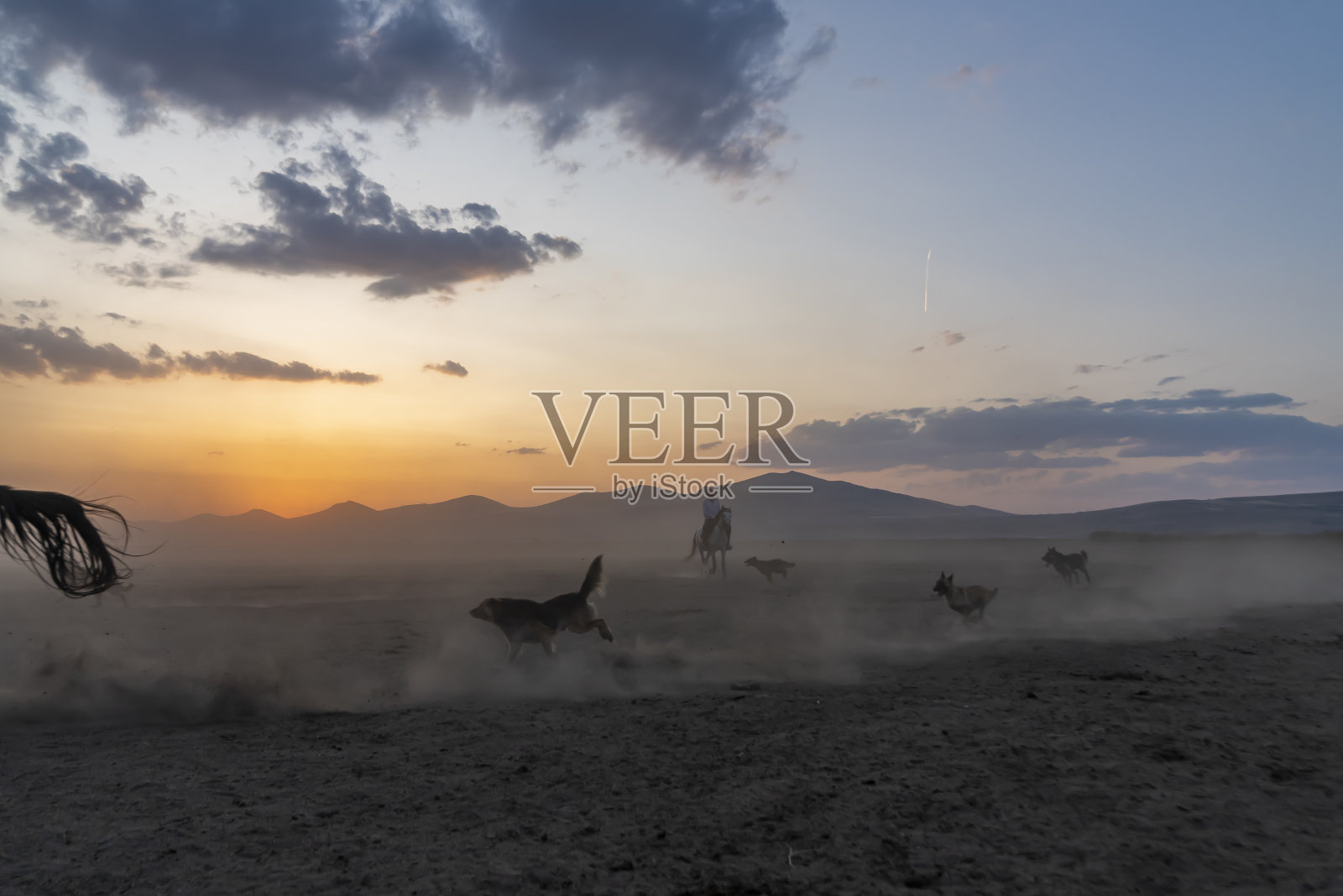 日落时野马在雾霭中奔跑。照片摄影图片