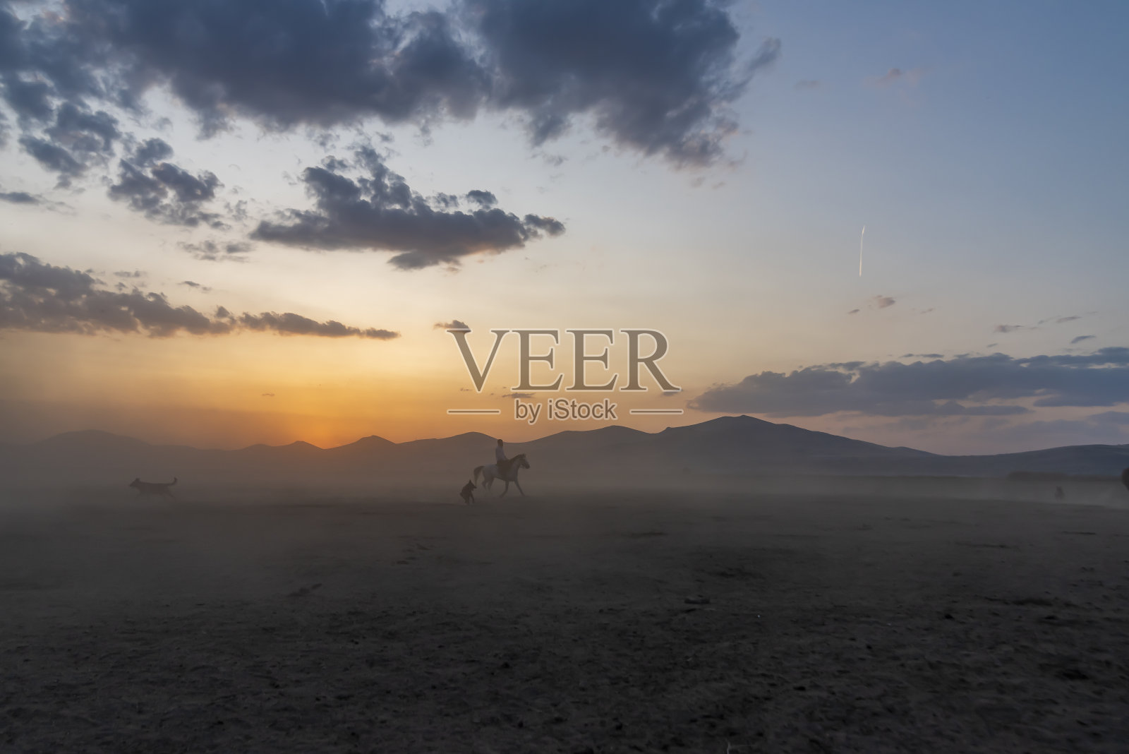 日落时野马在雾霭中奔跑。照片摄影图片