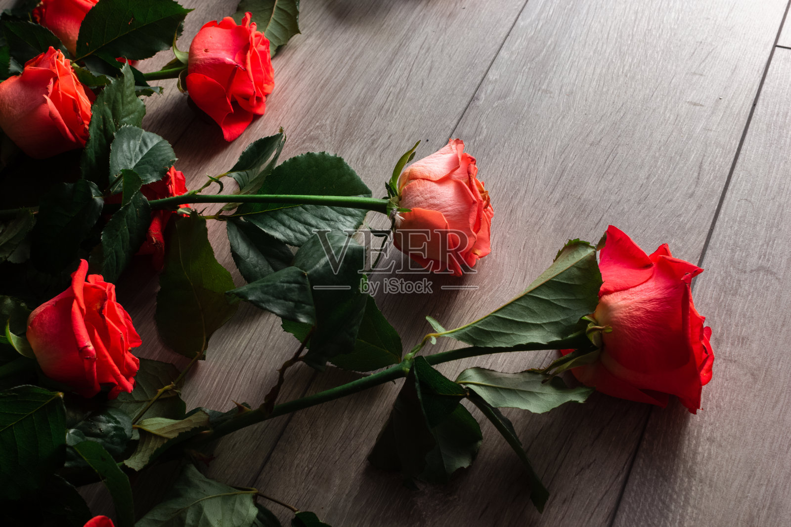 木地板上有玫瑰照片摄影图片