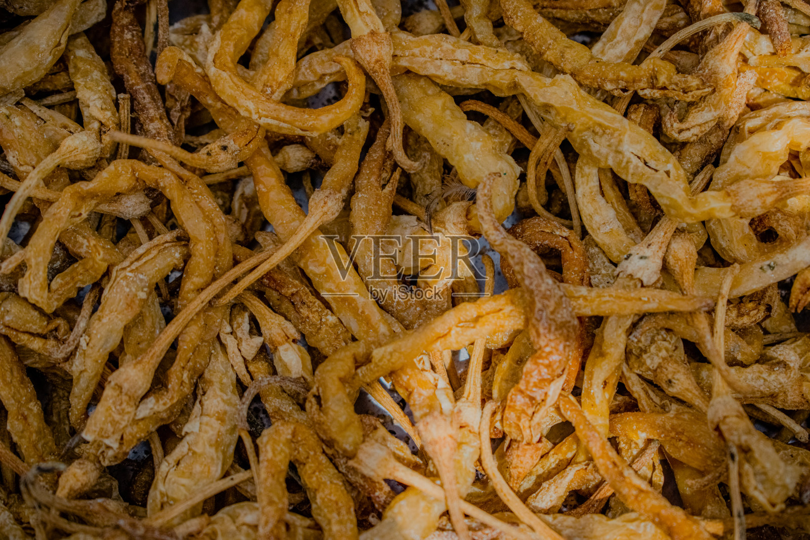 收集的印度干豆腐，可与食物一起食用。照片摄影图片