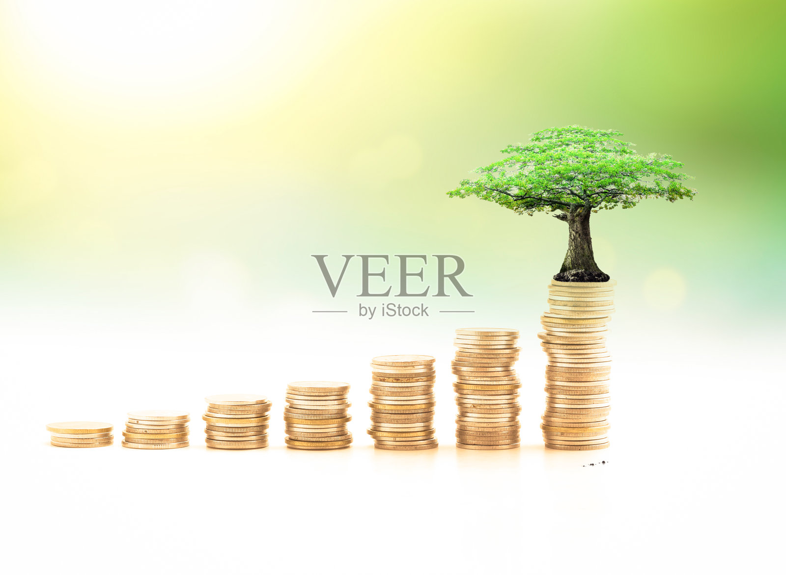 养老基金的概念照片摄影图片