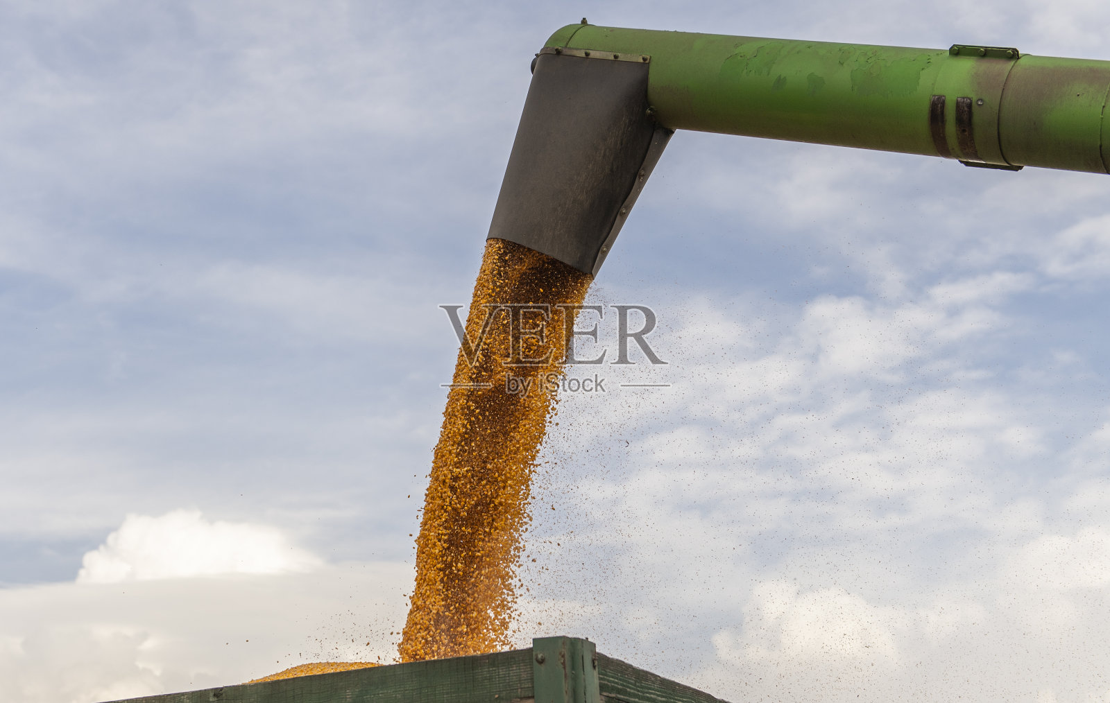 将玉米倒入拖拉机拖车的联合收割机的谷物钻照片摄影图片