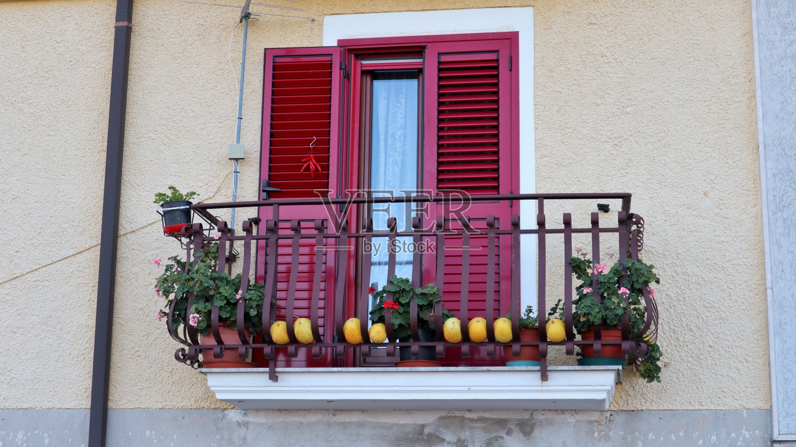阳台上有黄色的甜瓜照片摄影图片