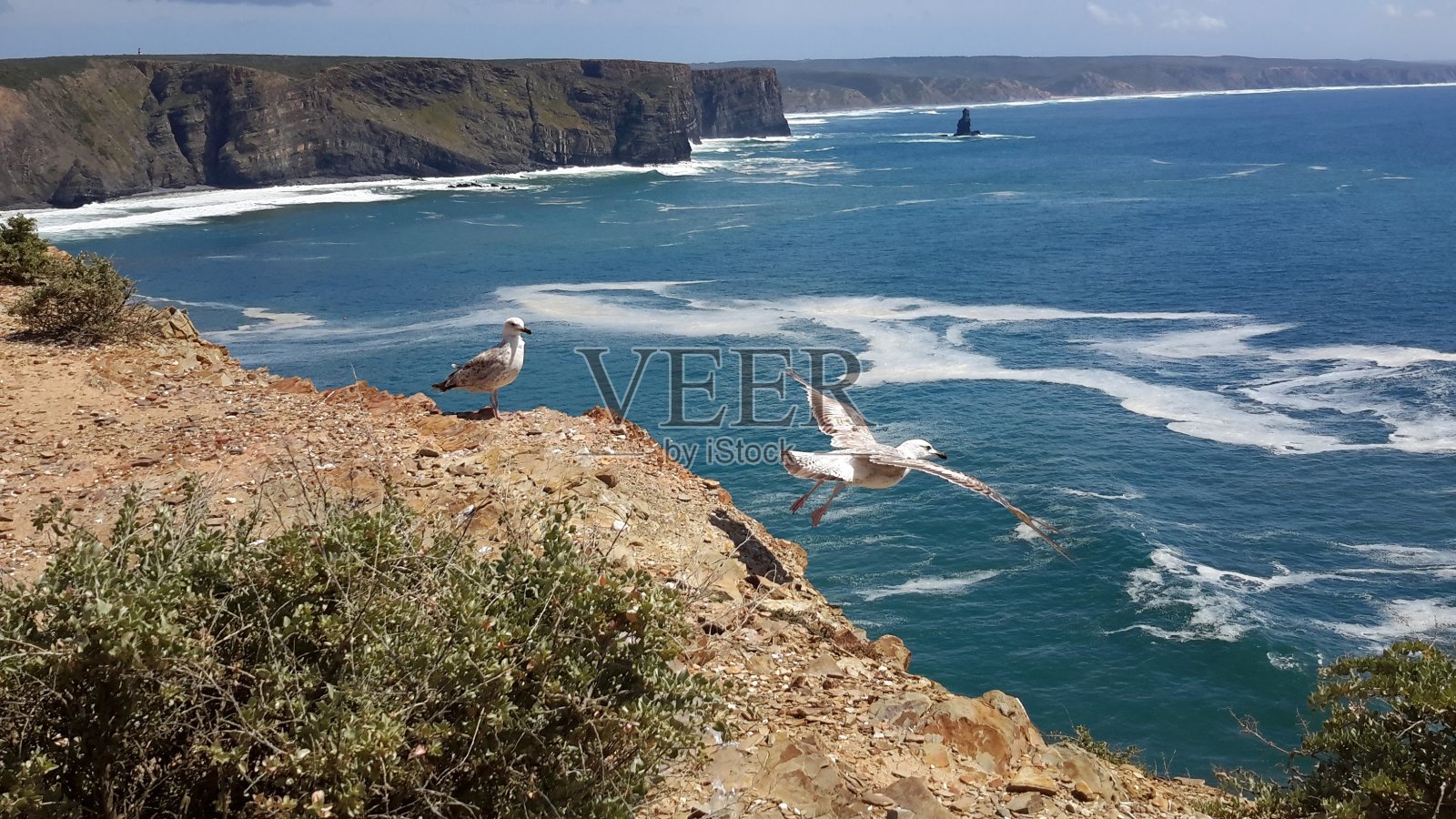 葡萄牙照片- Arrifana海滩- Aljezur Algarve - 5照片摄影图片