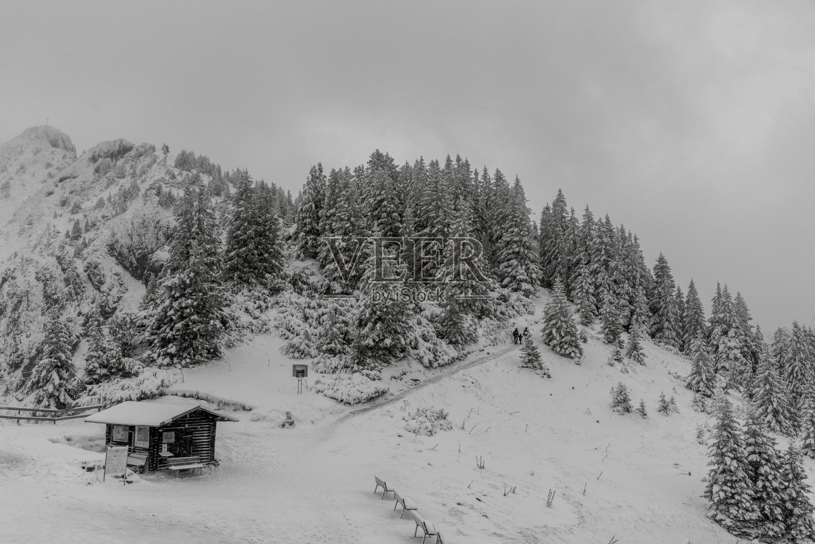 Hoher Straussberg Mountain，来自Tegel Mountain, Tegelberg, ammer螨虫，schwan螨虫，Ostallgau, all螨虫，Schwabia，德国巴伐利亚照片摄影图片