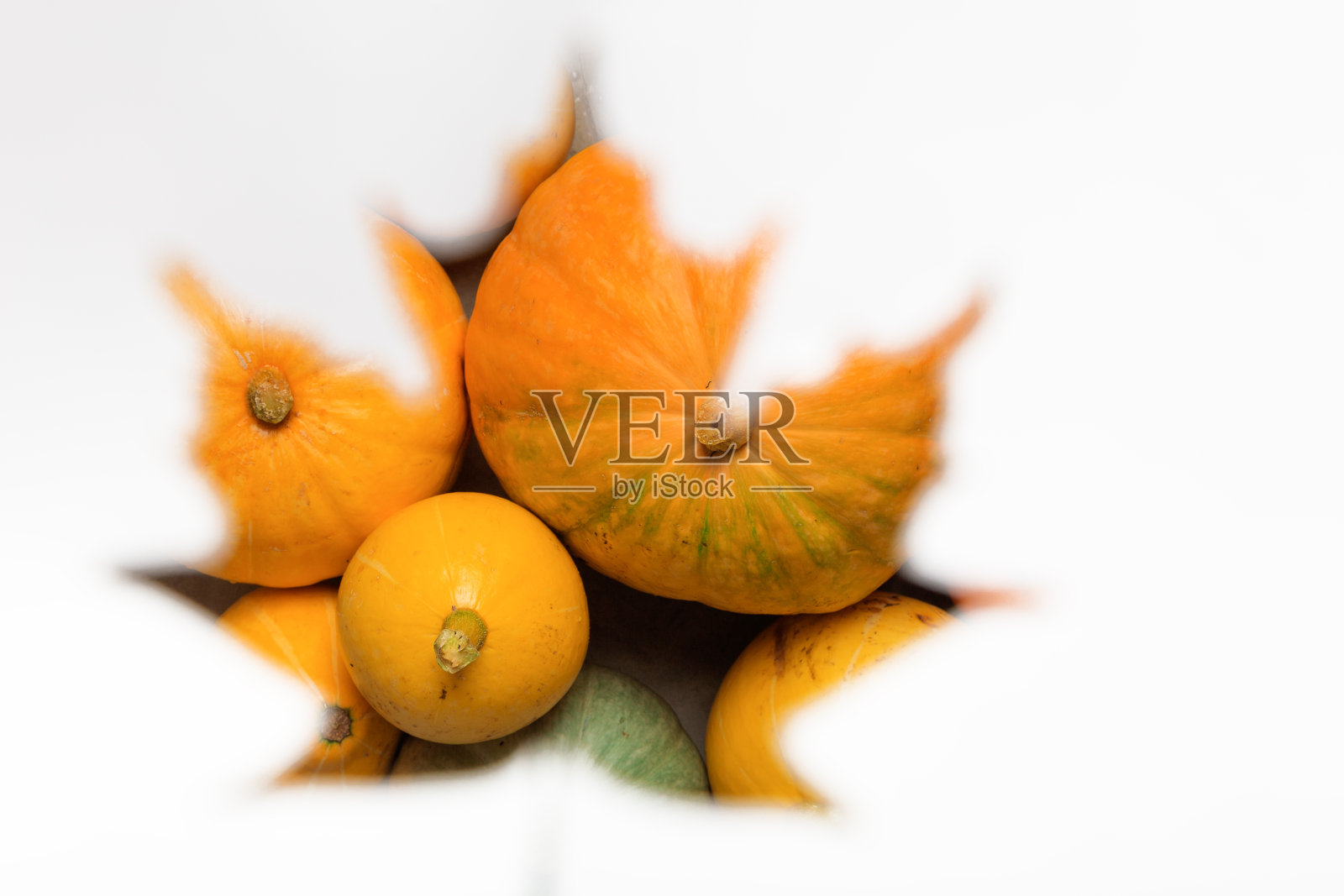 枫叶在白纸上新鲜的南瓜。秋天的心情。本空间照片摄影图片