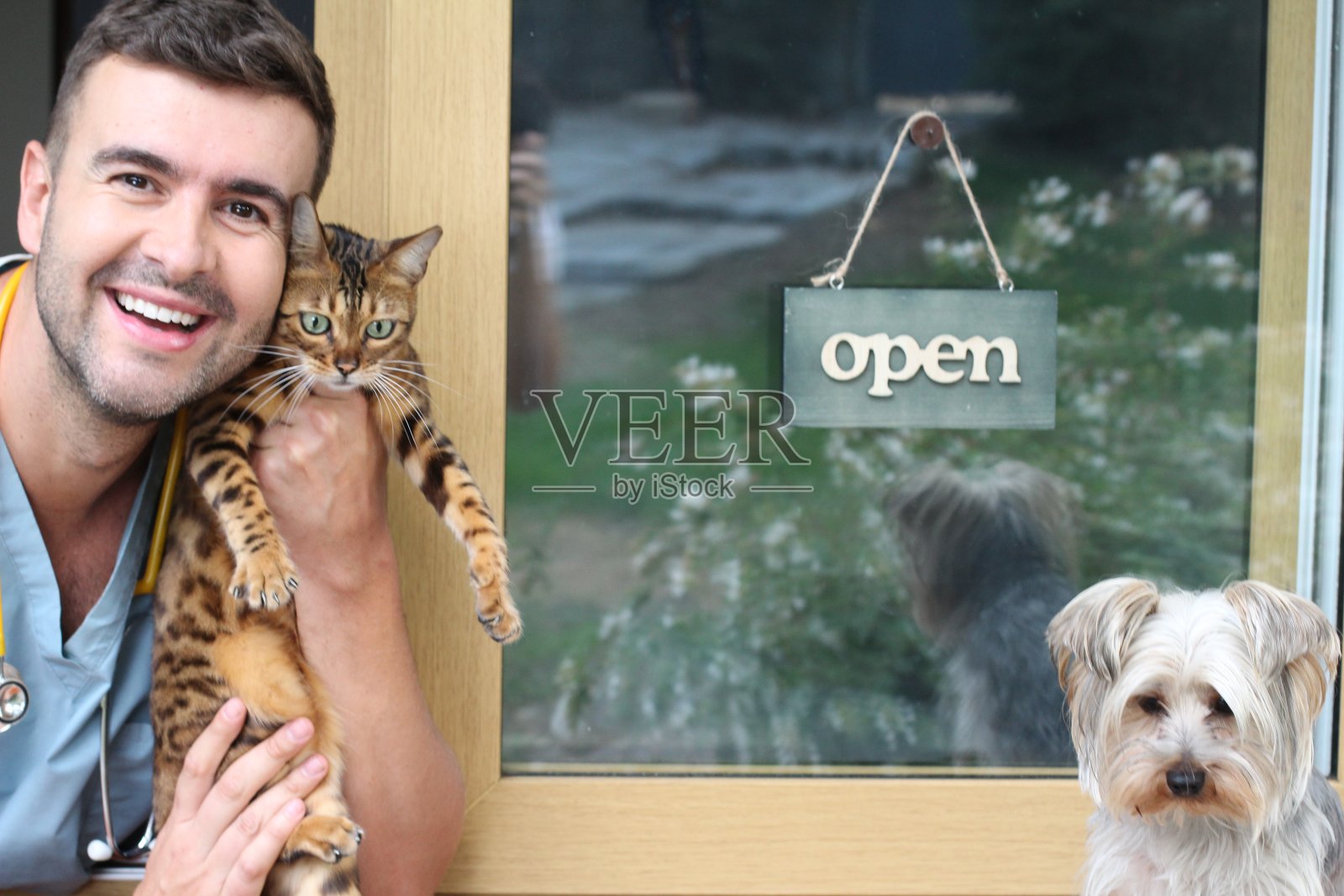 兽医与猫和狗一起工作照片摄影图片
