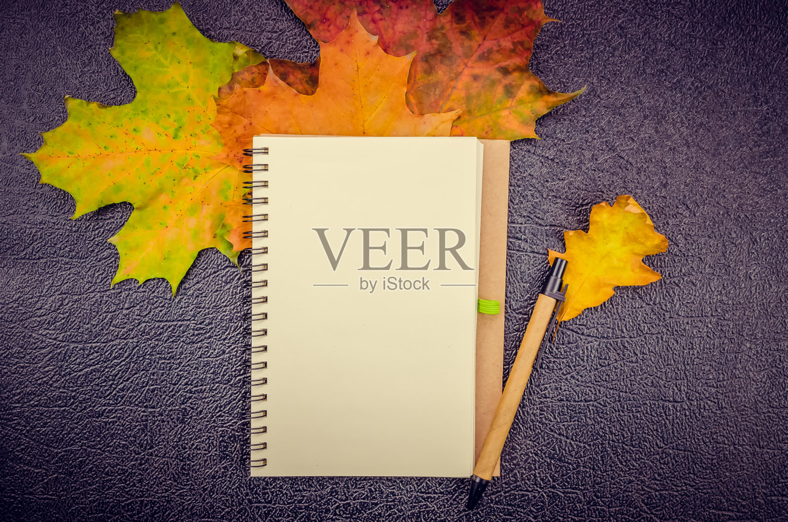 枫，橡树叶，白色记事本与钢笔在黑暗的背景与复制空间。秋季录案概念，布局，俯视图。平的。照片摄影图片